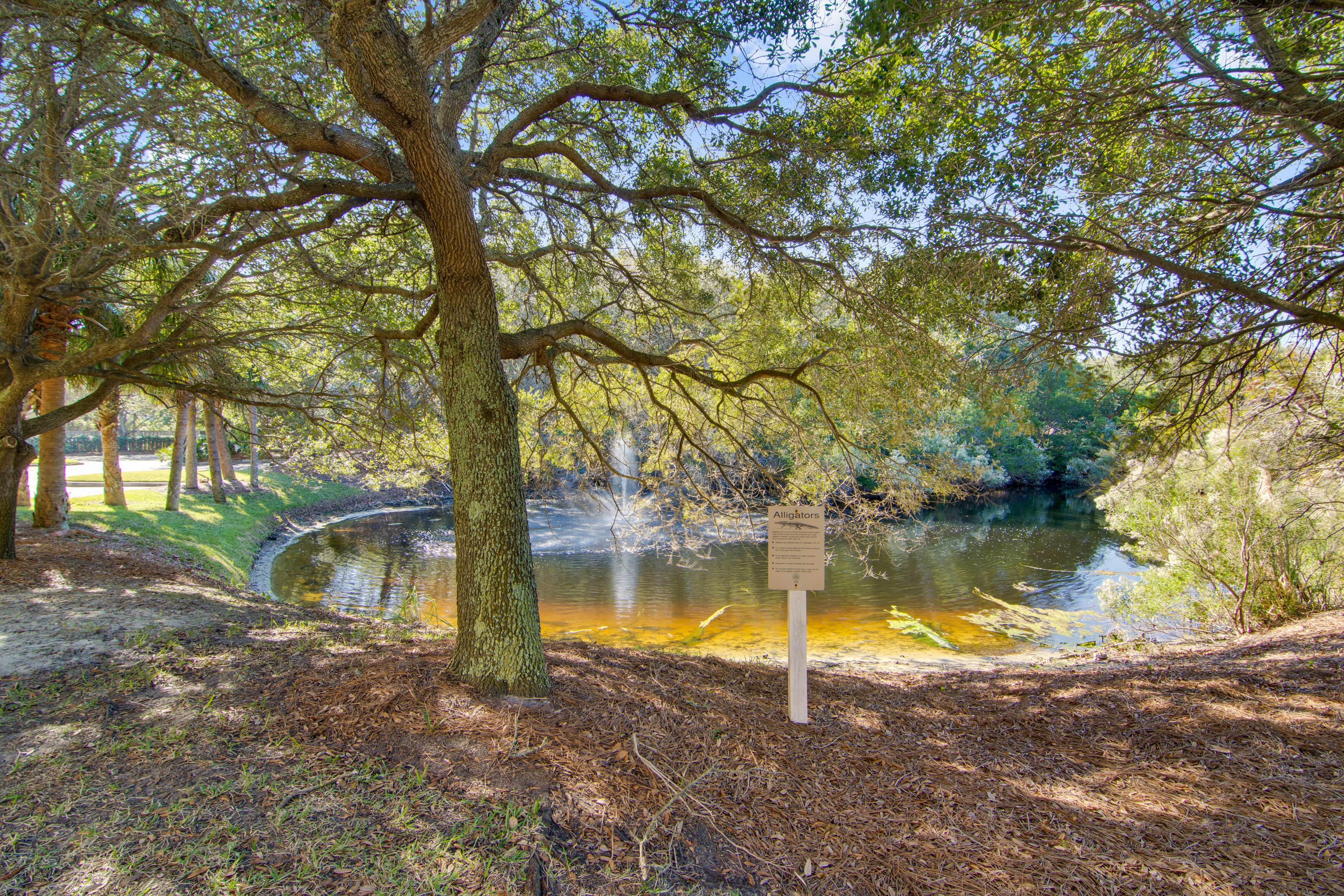 2nd floor oceanfront corner condo with pool, hot tub & basketball