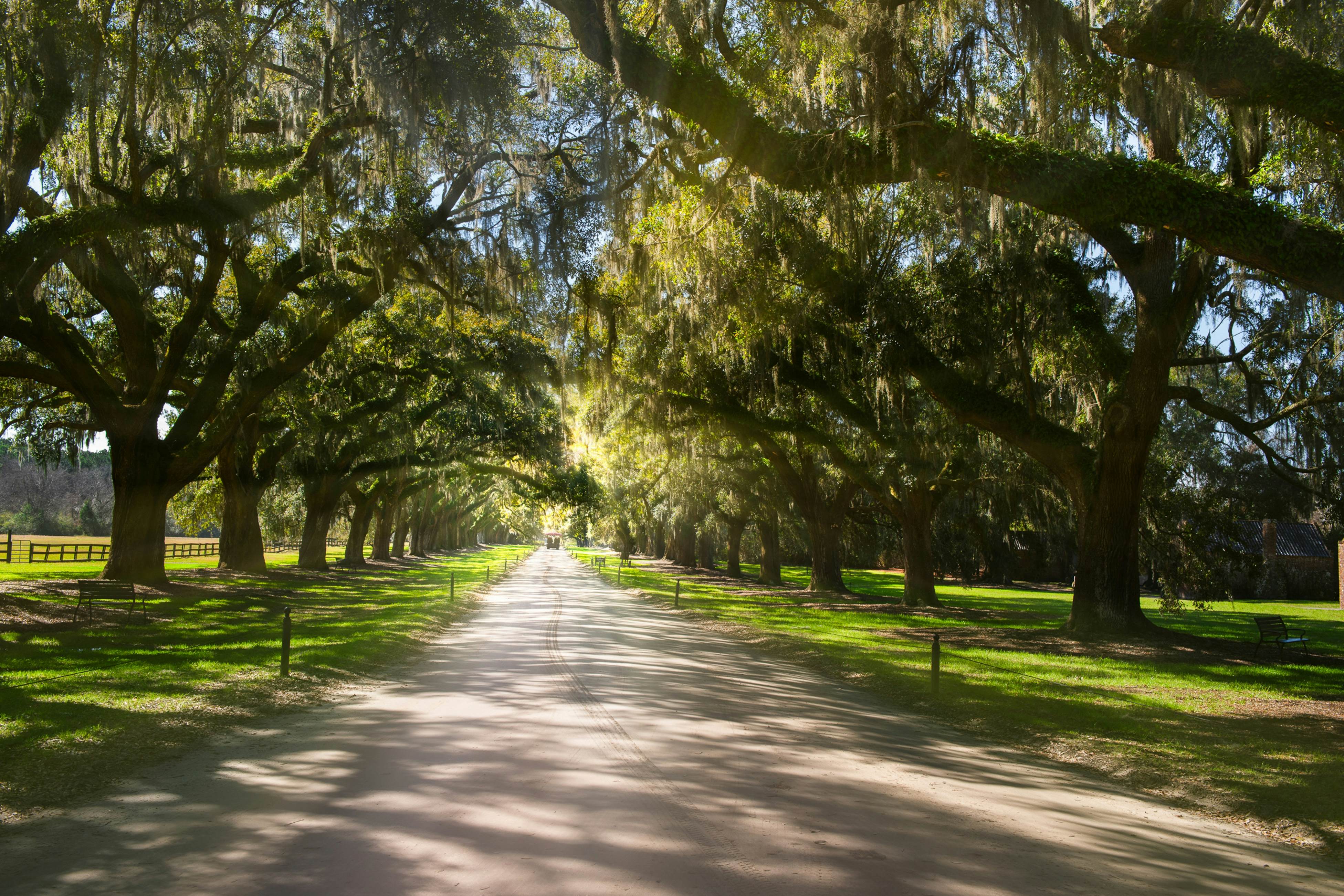 Dog-friendly penthouse with oceanfront balcony - steps to Folly Beach Pier