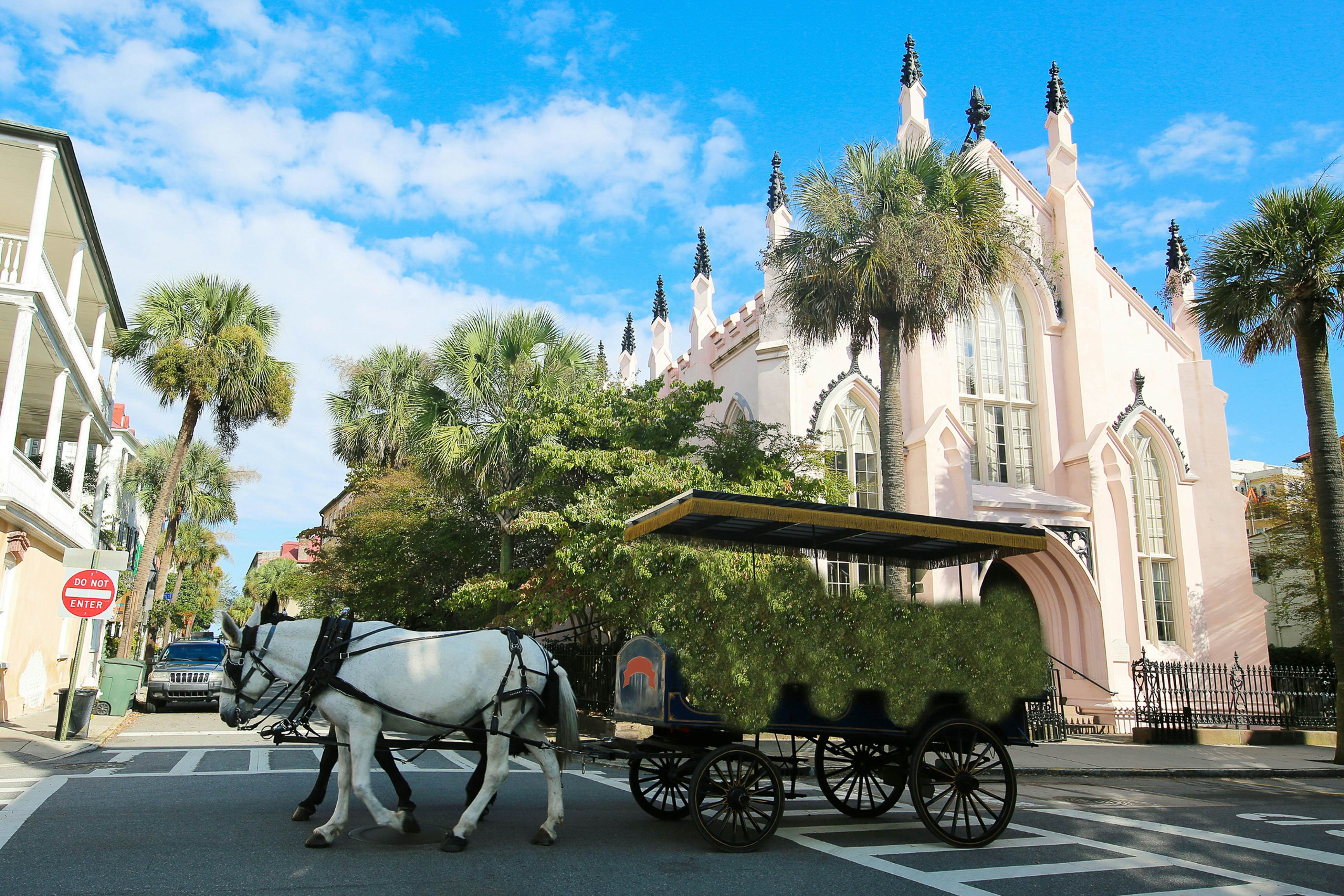 Dog-friendly penthouse with oceanfront balcony - steps to Folly Beach Pier