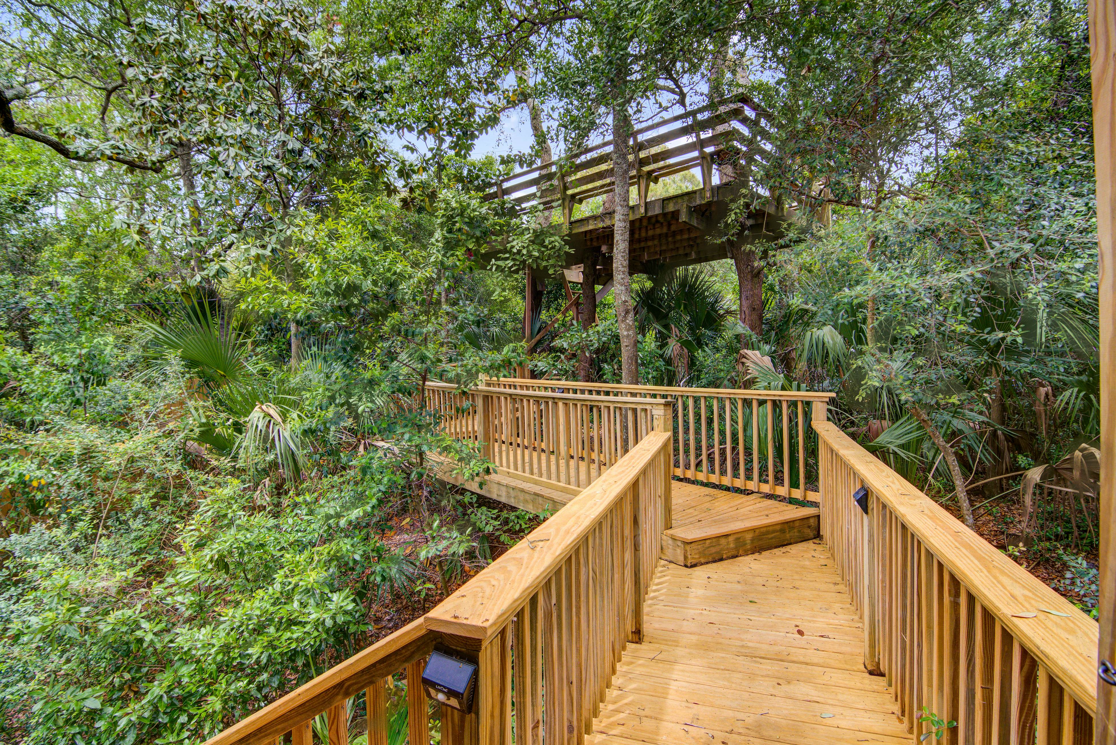 Dog-friendly tropical oasis w/ private deck/ yard - close to beach & everything