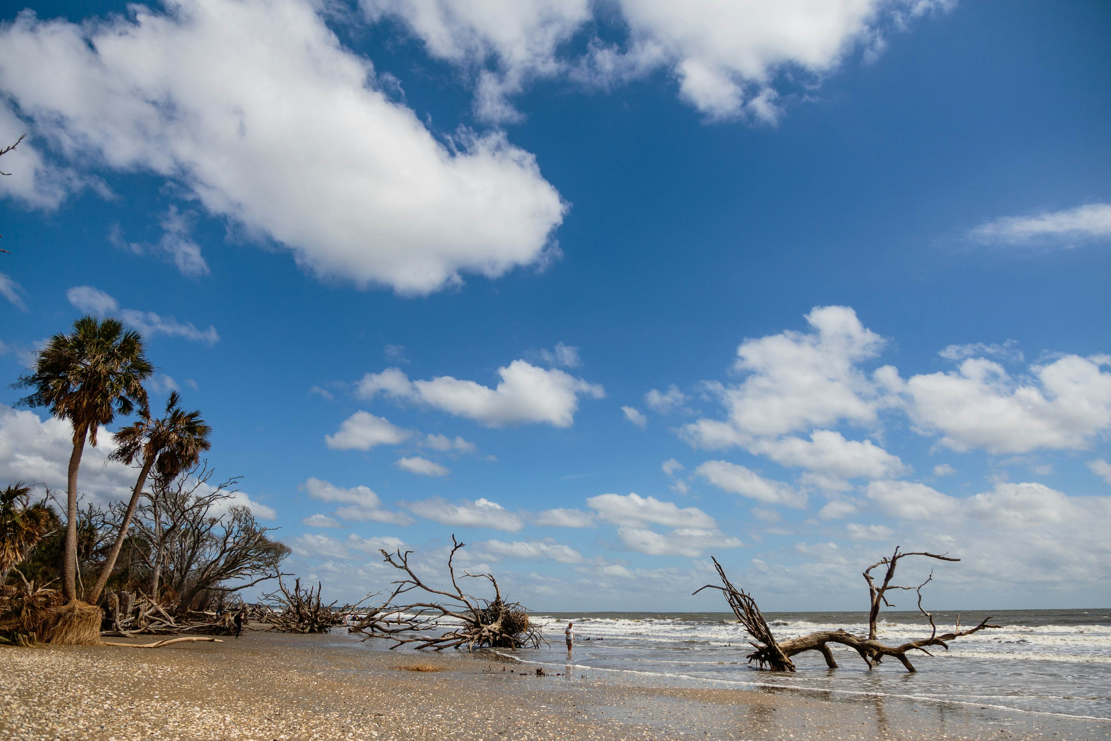 Dog-friendly tropical oasis w/ private deck/ yard - close to beach & everything
