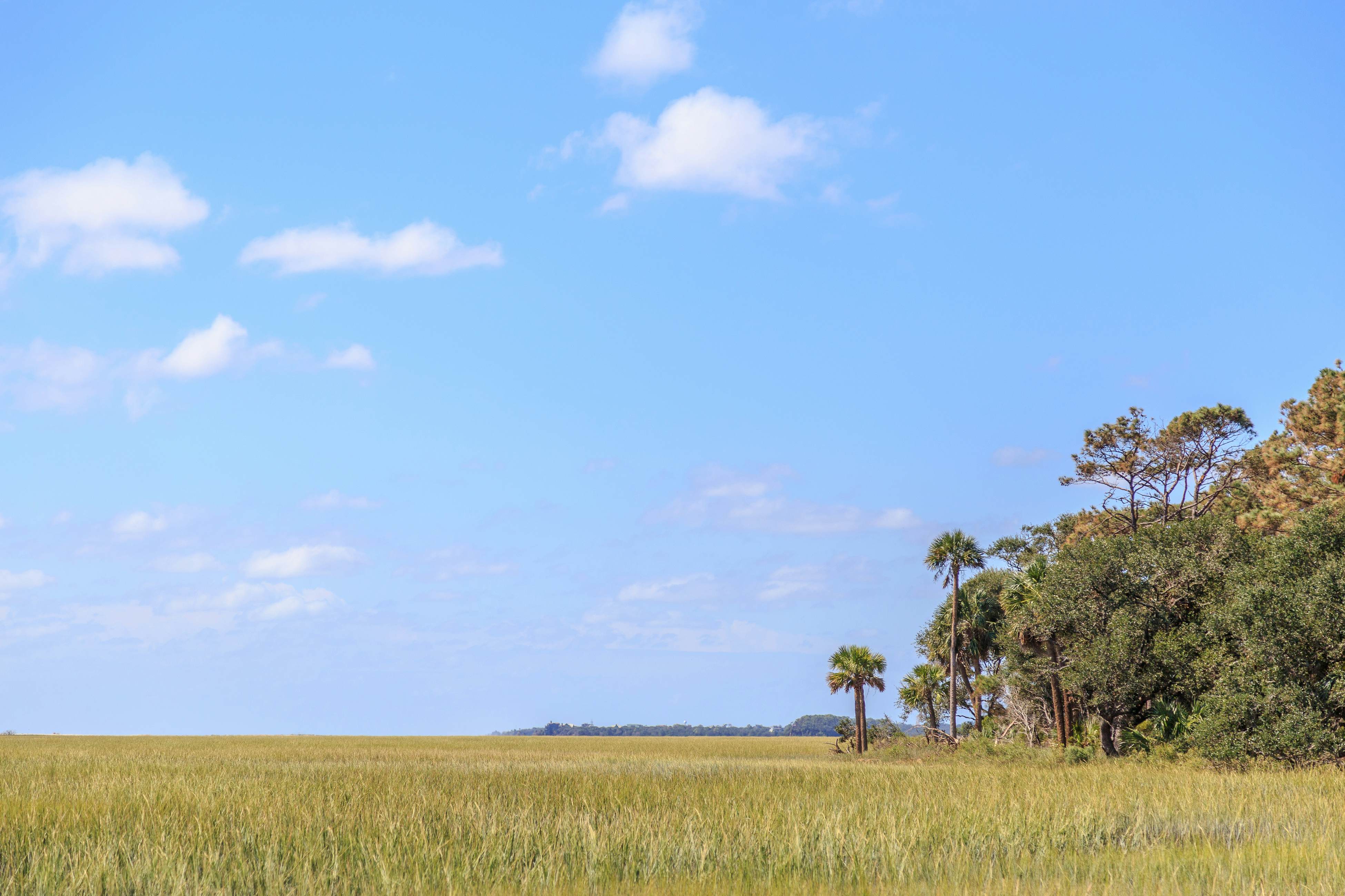 Dog-friendly tropical oasis w/ private deck/ yard - close to beach & everything