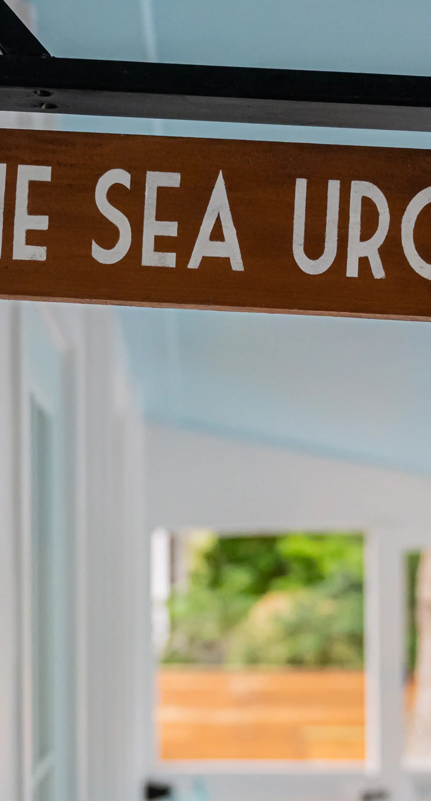 Recently updated bungalow w/pool & spa - dog friendly, short walk to beach