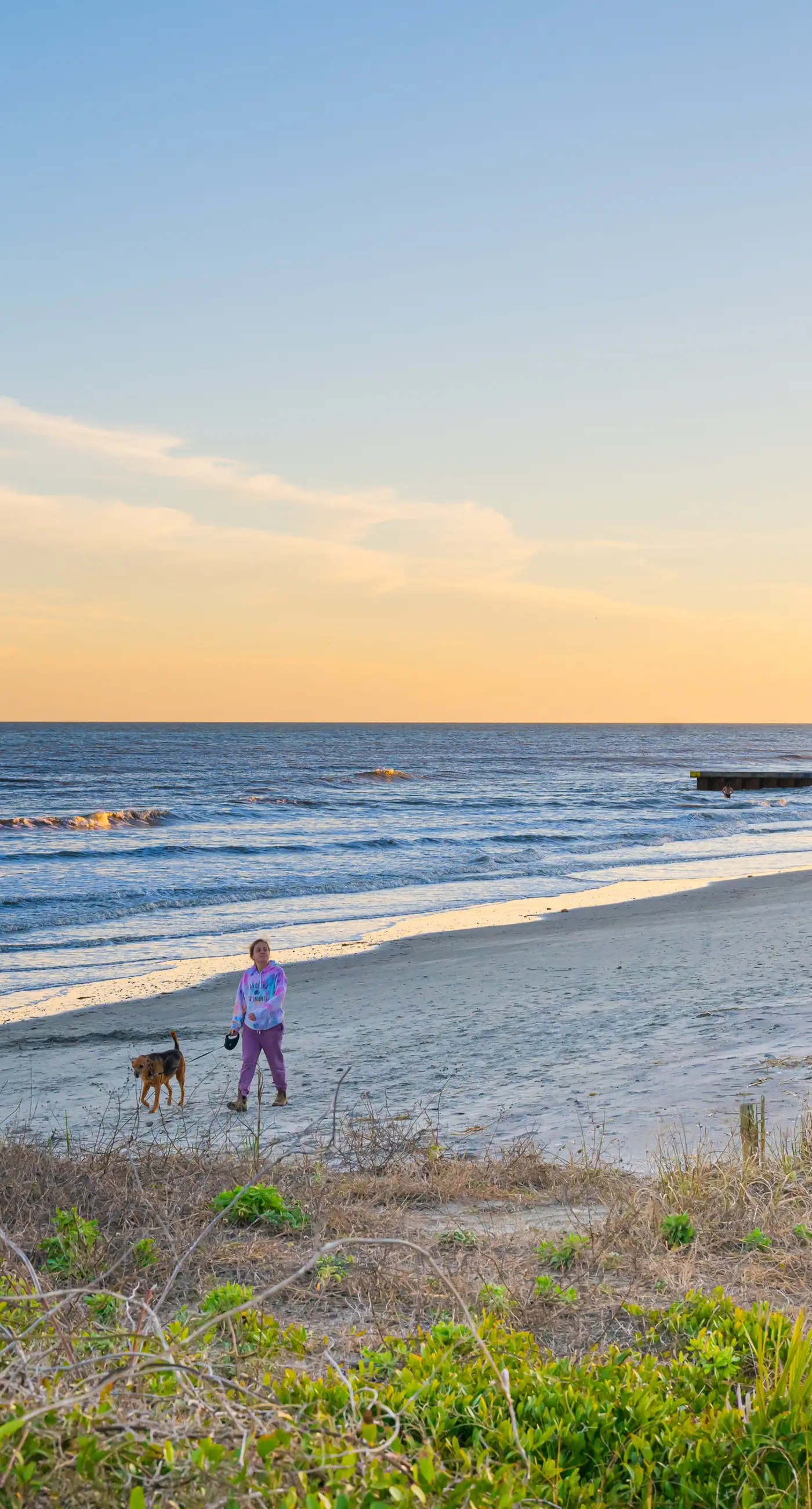 Recently updated bungalow w/pool & spa - dog friendly, short walk to beach