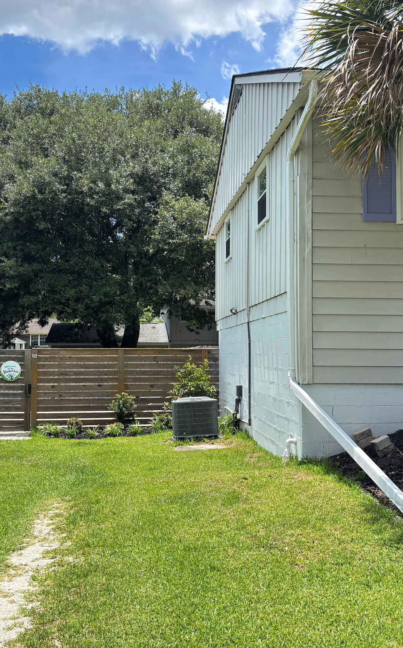 Cozy West Ashley Apartment- Close to shopping and Downtown Charleston