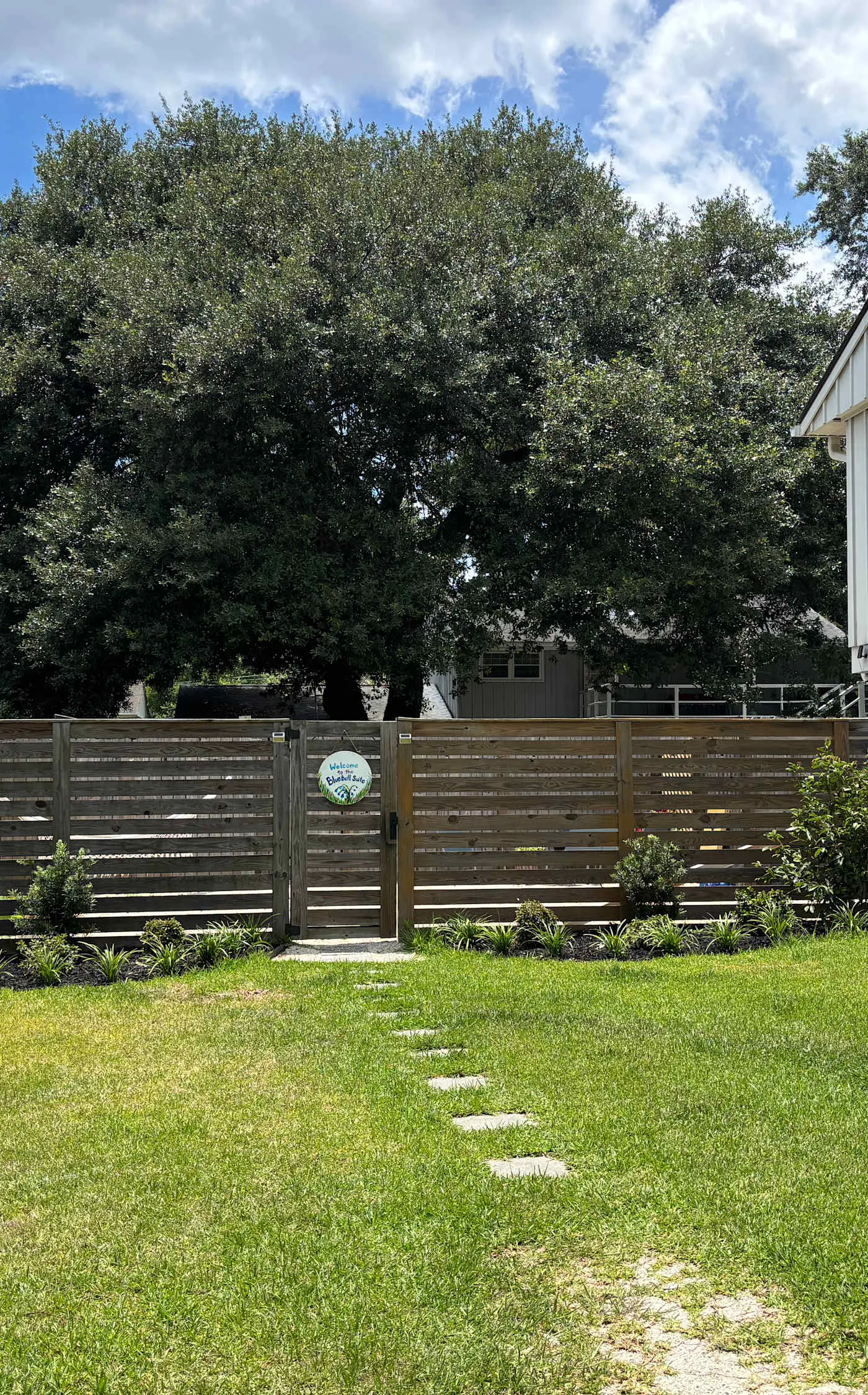 Cozy West Ashley Apartment- Close to shopping and Downtown Charleston