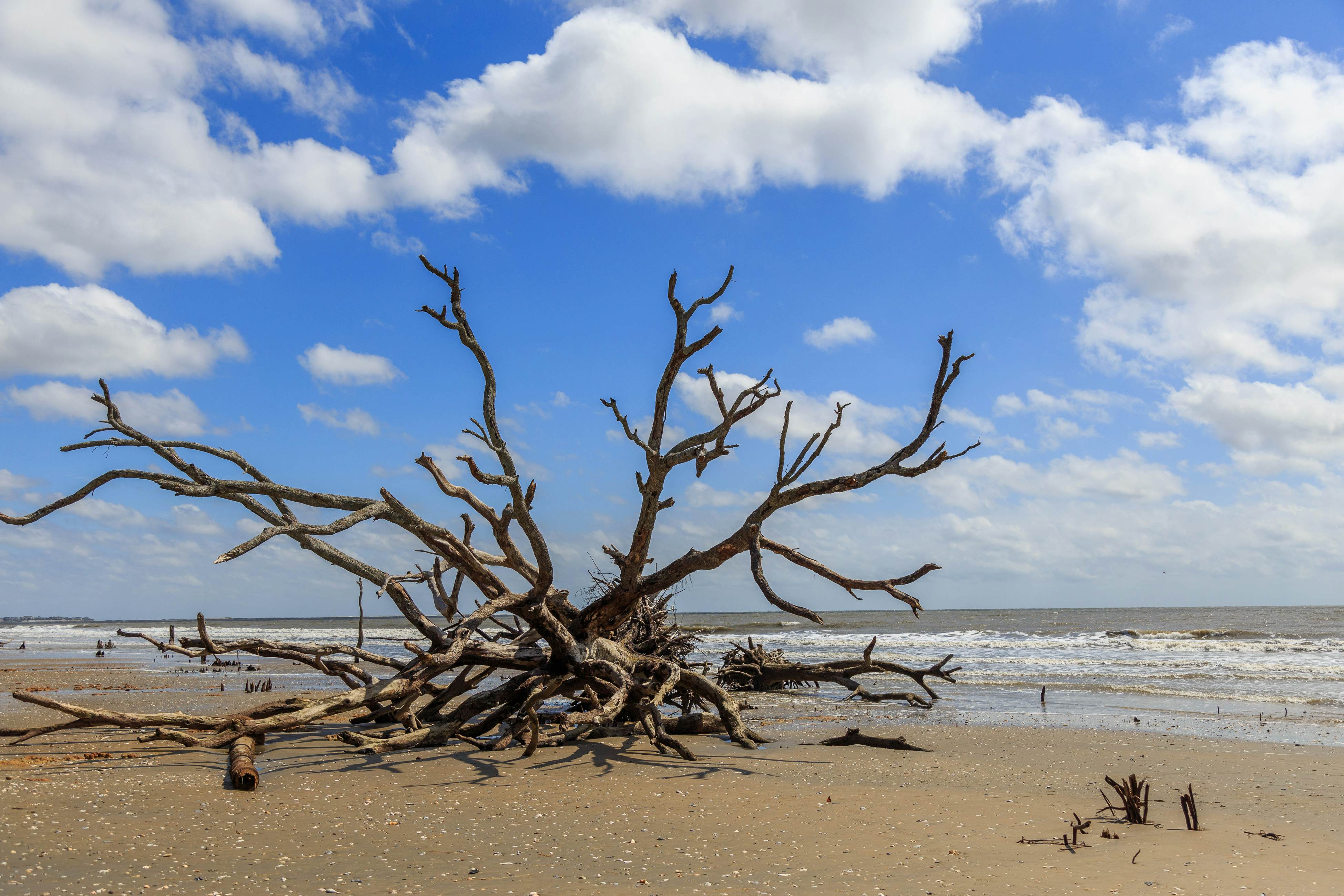 Oceanfront villa steps from the beach w/private balcony & shared pool