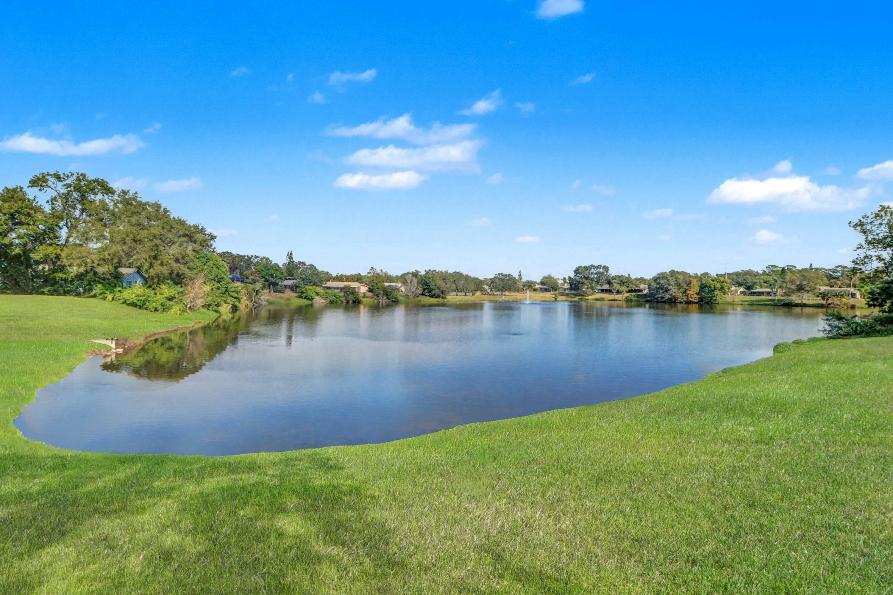 Palm Harbor Retreat with Pool, Firepit, Pool Table & Pet-Friendly