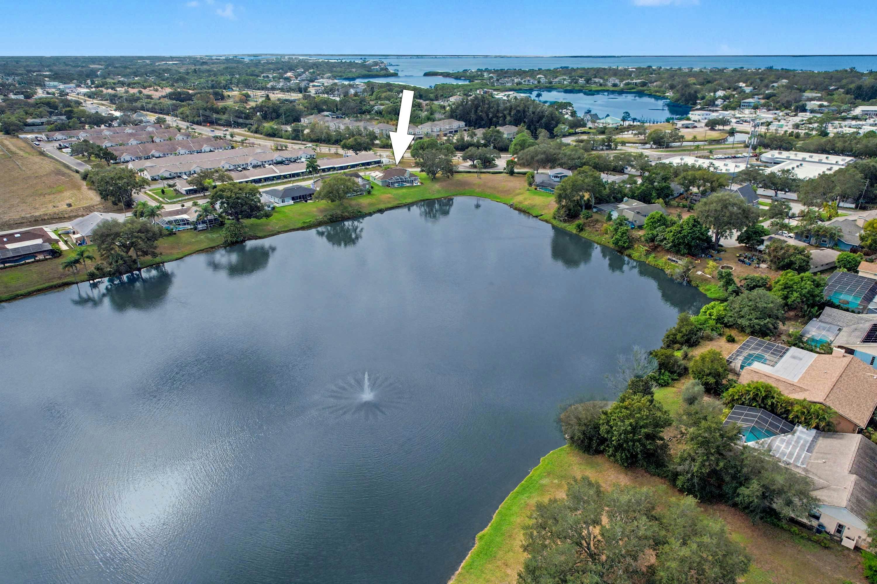 Palm Harbor Retreat with Pool, Firepit, Pool Table & Pet-Friendly