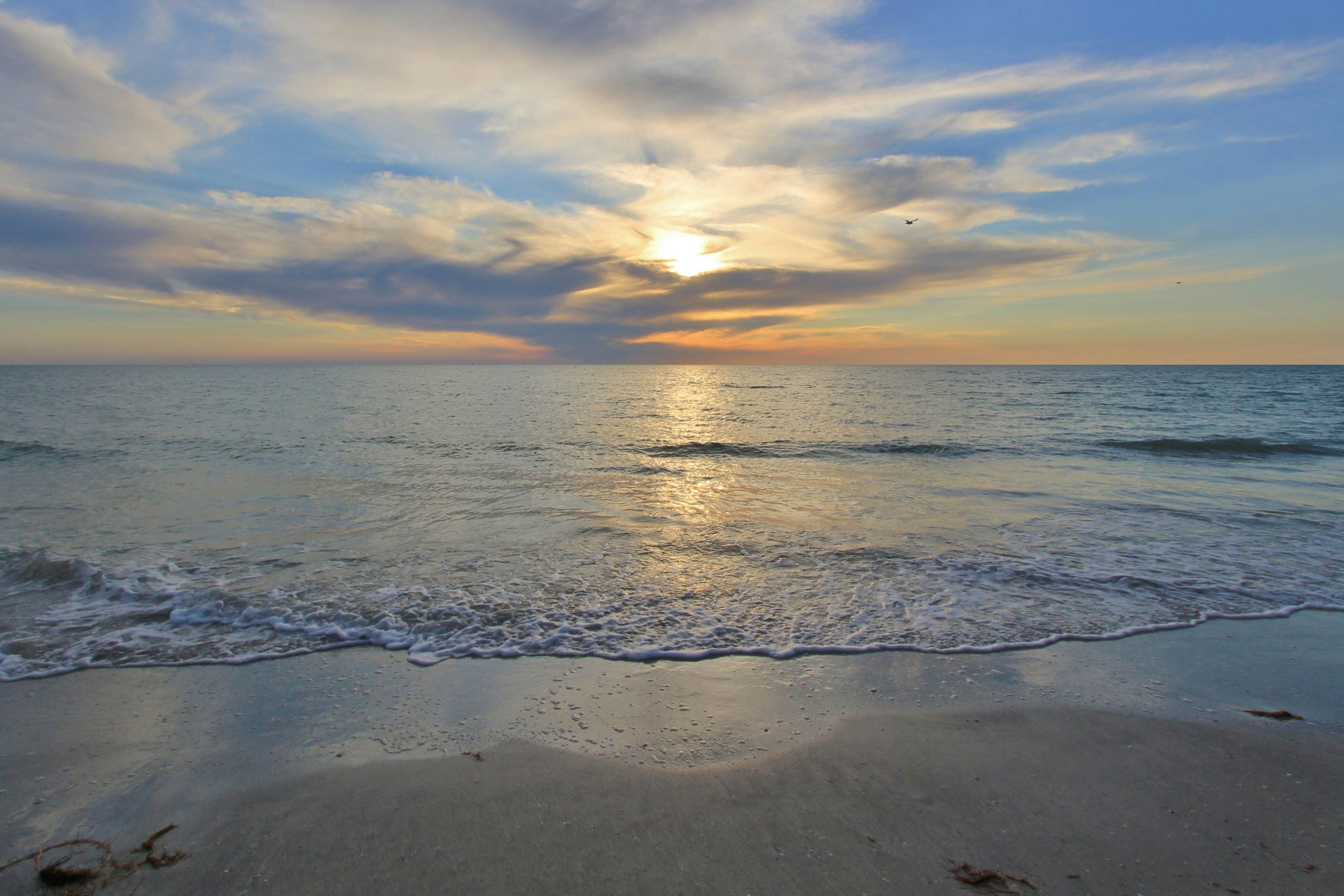 Spacious and modern, close to Gulf and beaches, dog friendly, private garage