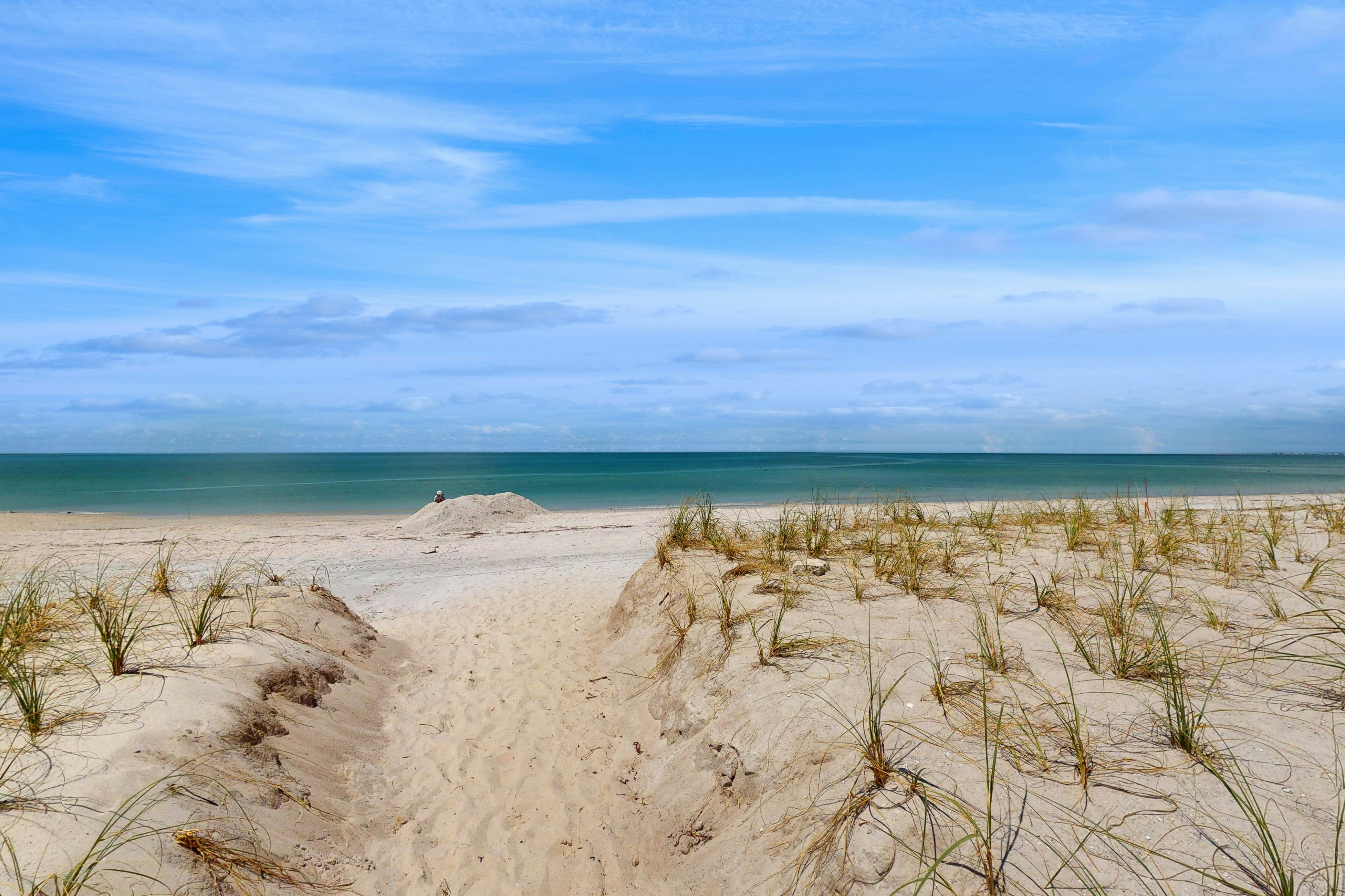 Coastal dog-friendly condo with observation deck, best Gulf sunset views