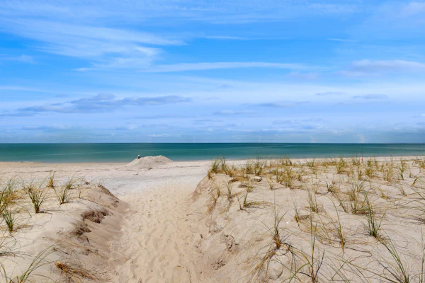 Coastal dog friendly condo with observation deck best Gulf sunset views