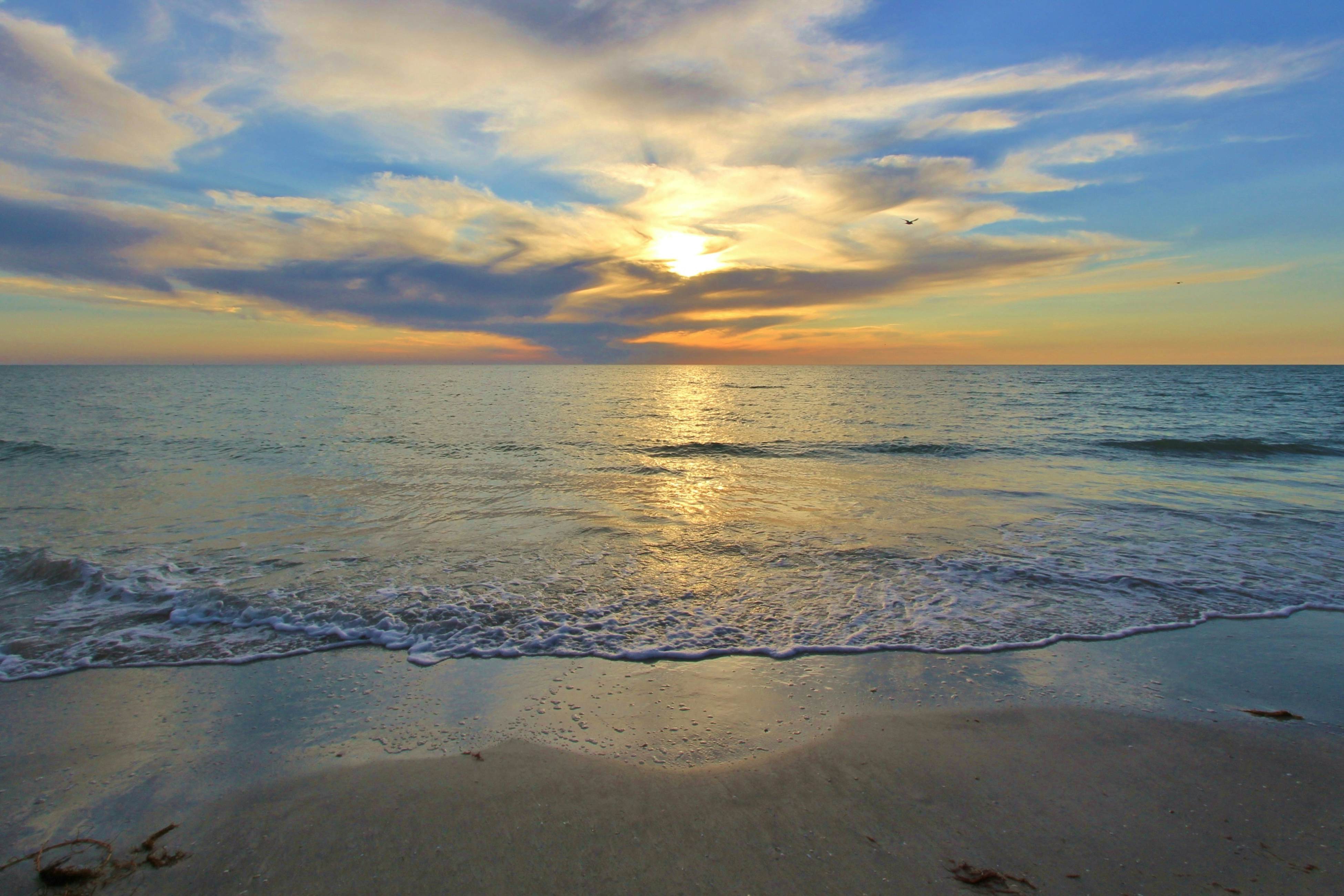 Beach-chic condo across from beach, close to John’s Pass - on-site pool, dogs ok