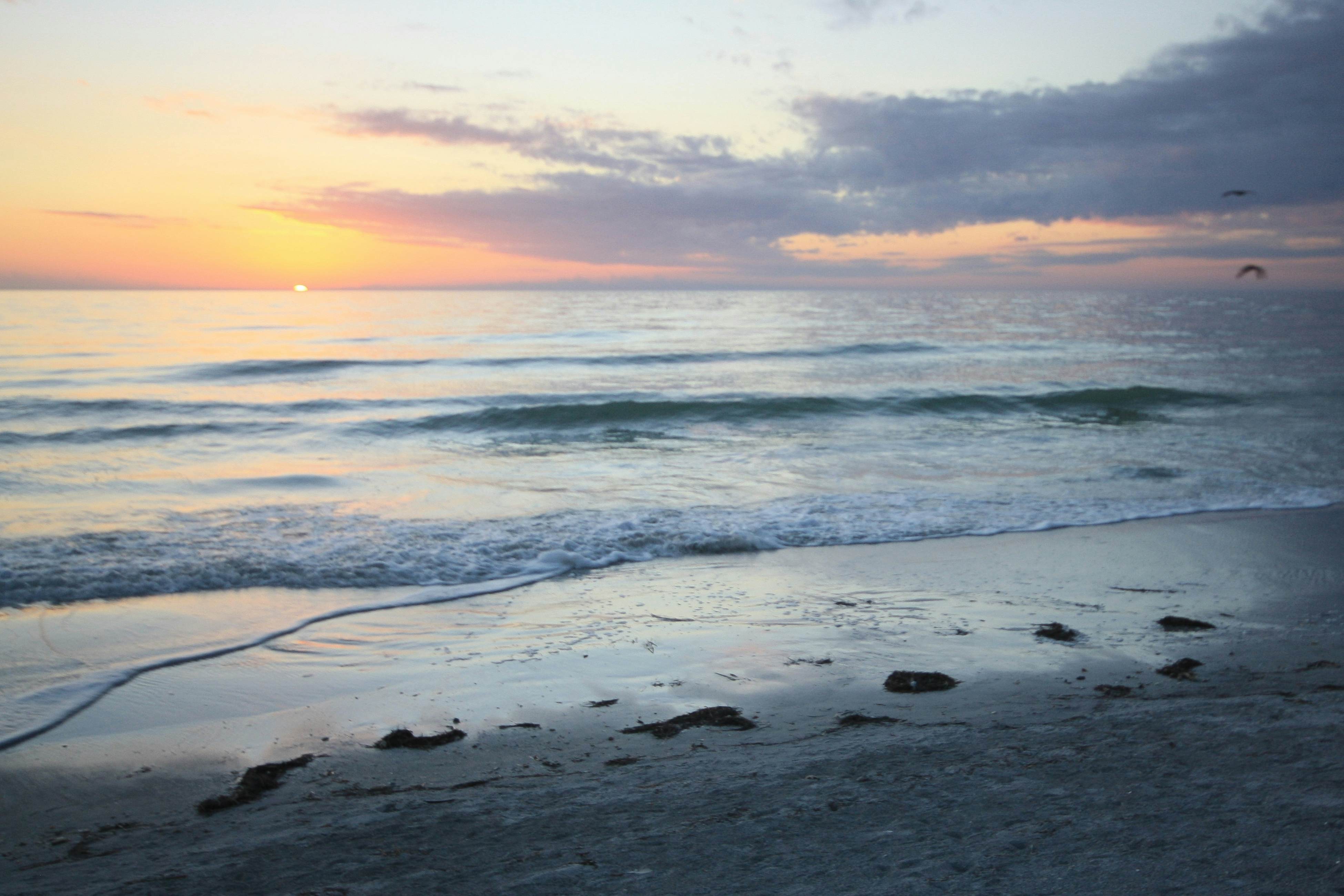 Beachfront studio with grilling area & shuffleboard - steps to sand