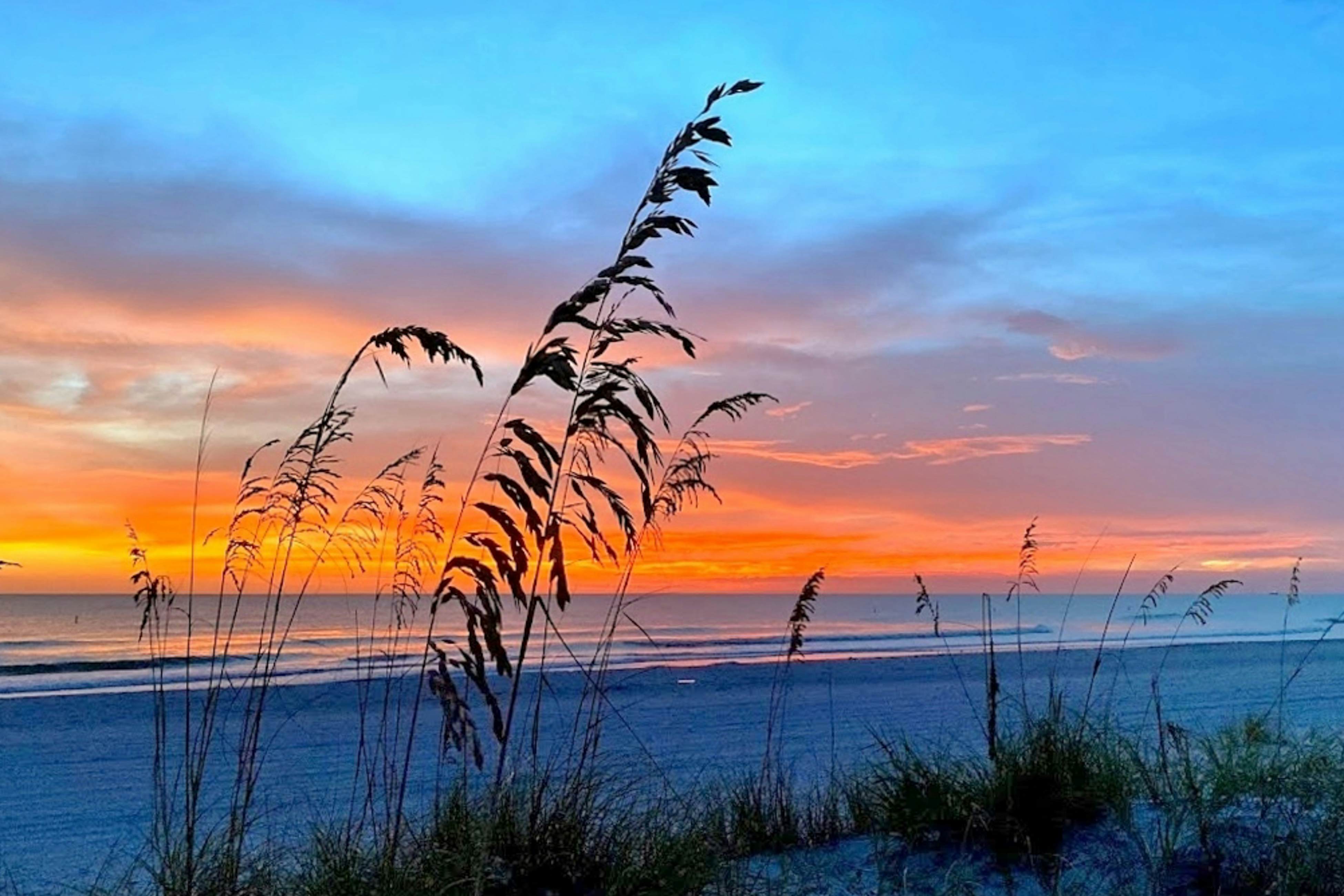 Beautiful oceanfront condo in Madeira Beach w/balcony & pool
