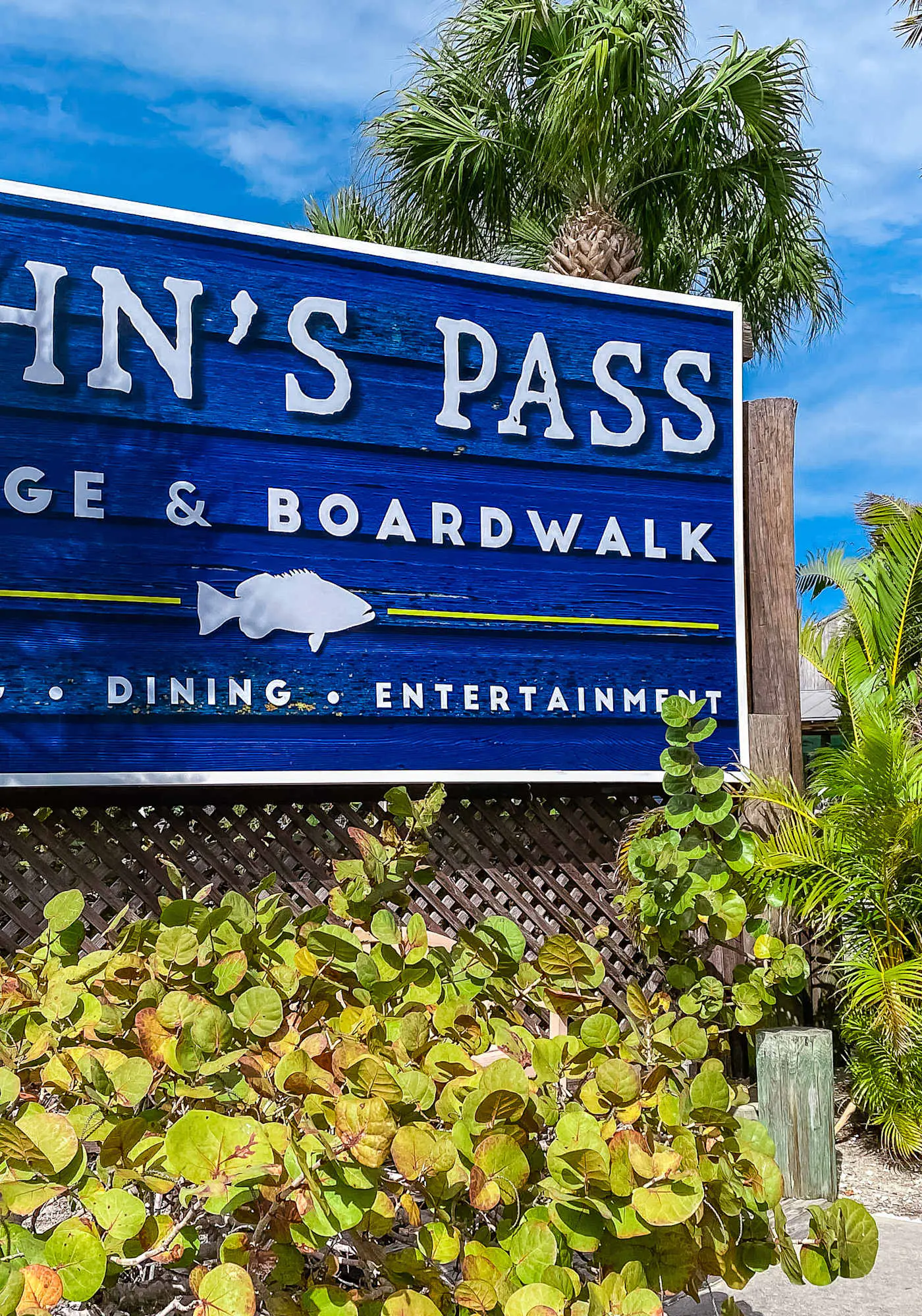 Dog Friendly Home with High Speed WiFi and Central AC Snowbird Friendly