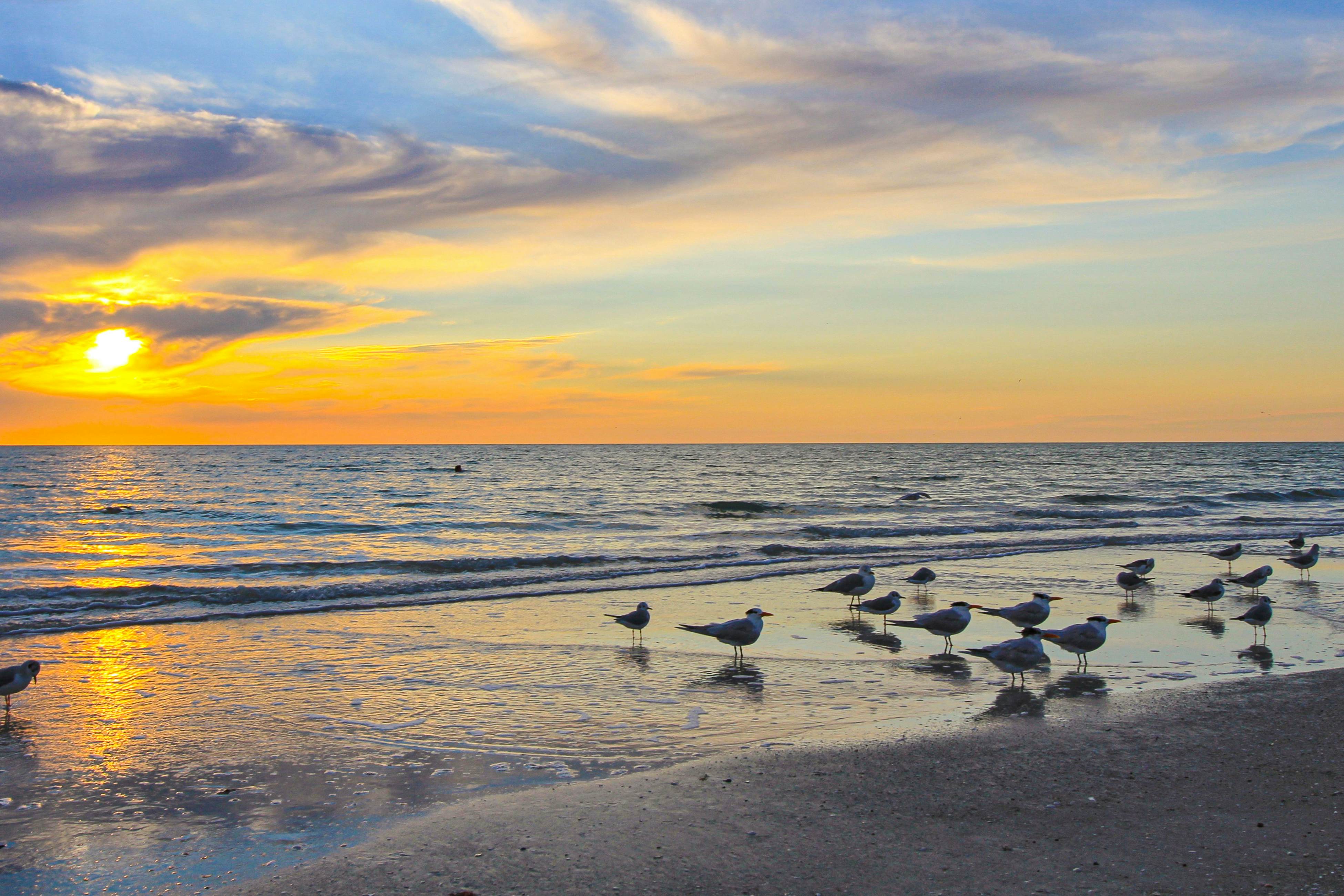 Waterfront condo with marina views - walk to John’s Pass