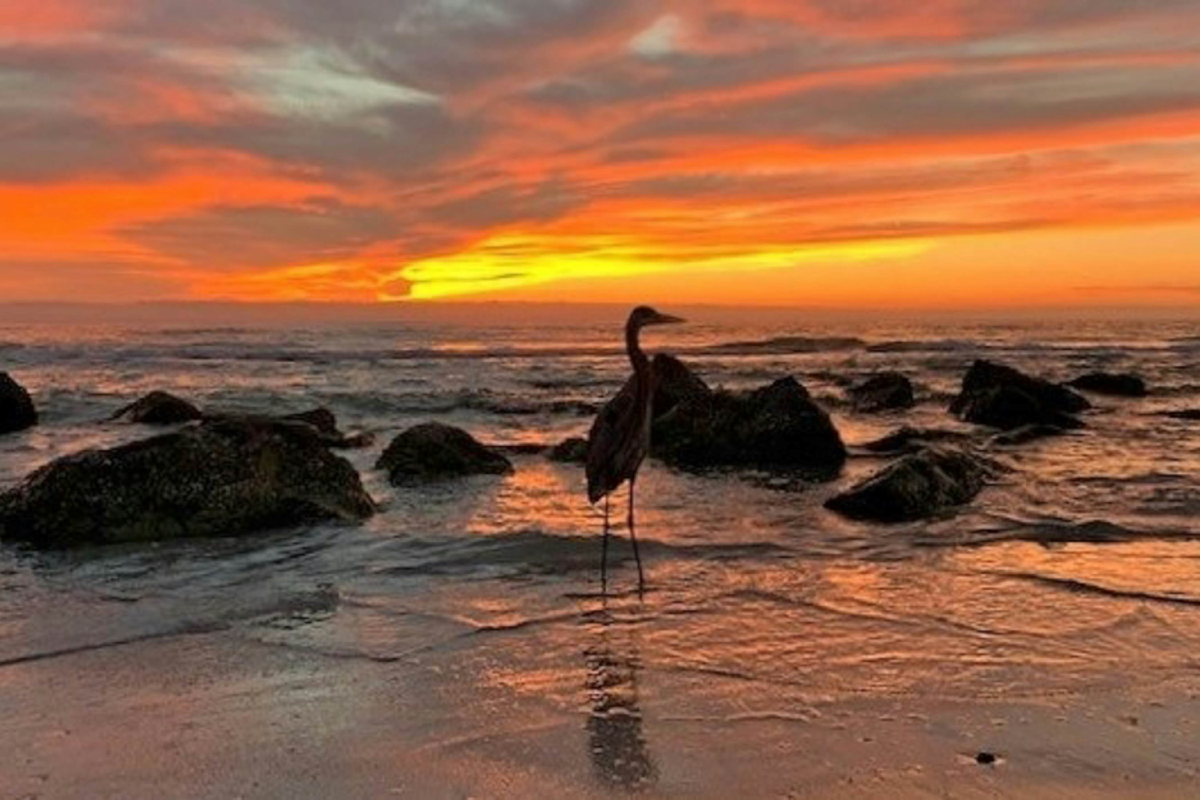 Upscale condo with gorgeous Gulf views & beachfront heated pool & spa