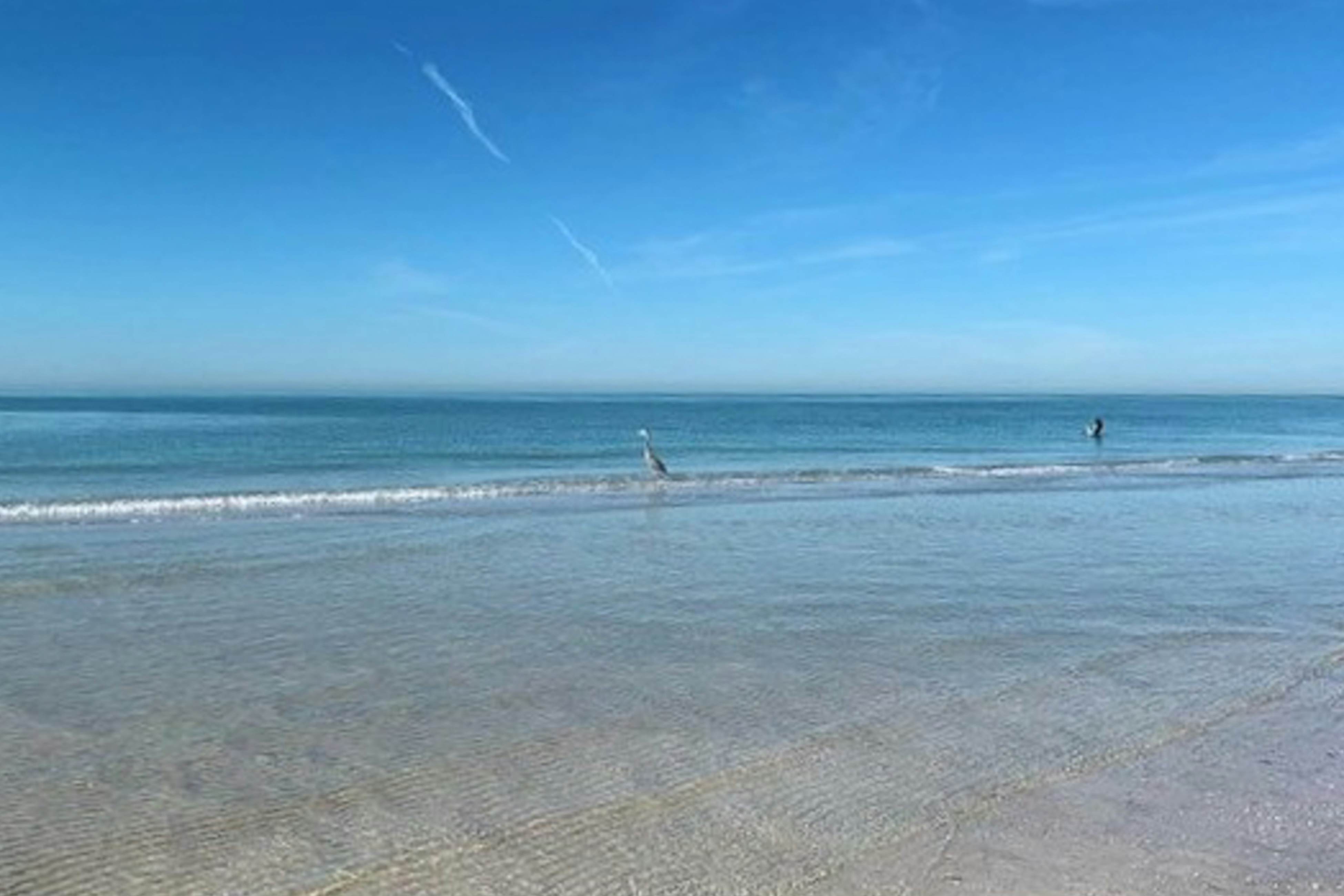 Upscale condo with gorgeous Gulf views & beachfront heated pool & spa