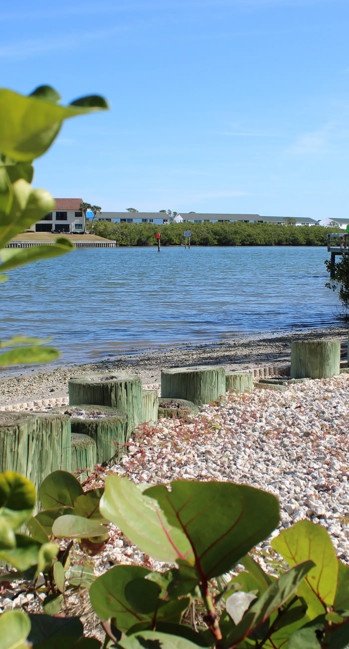 Spacious and family friendly with pool dock and just steps to the beaches
