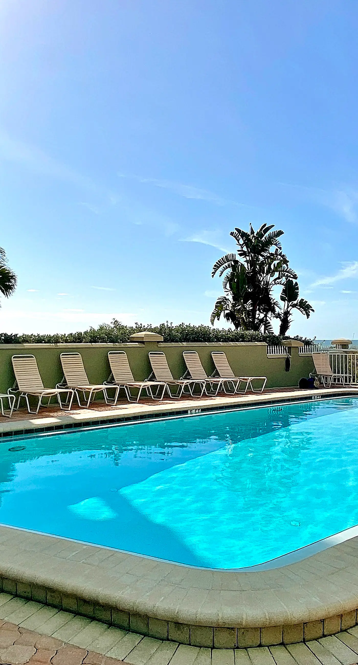 Beachfront Condo in Tampa | Balcony & Heated Pool