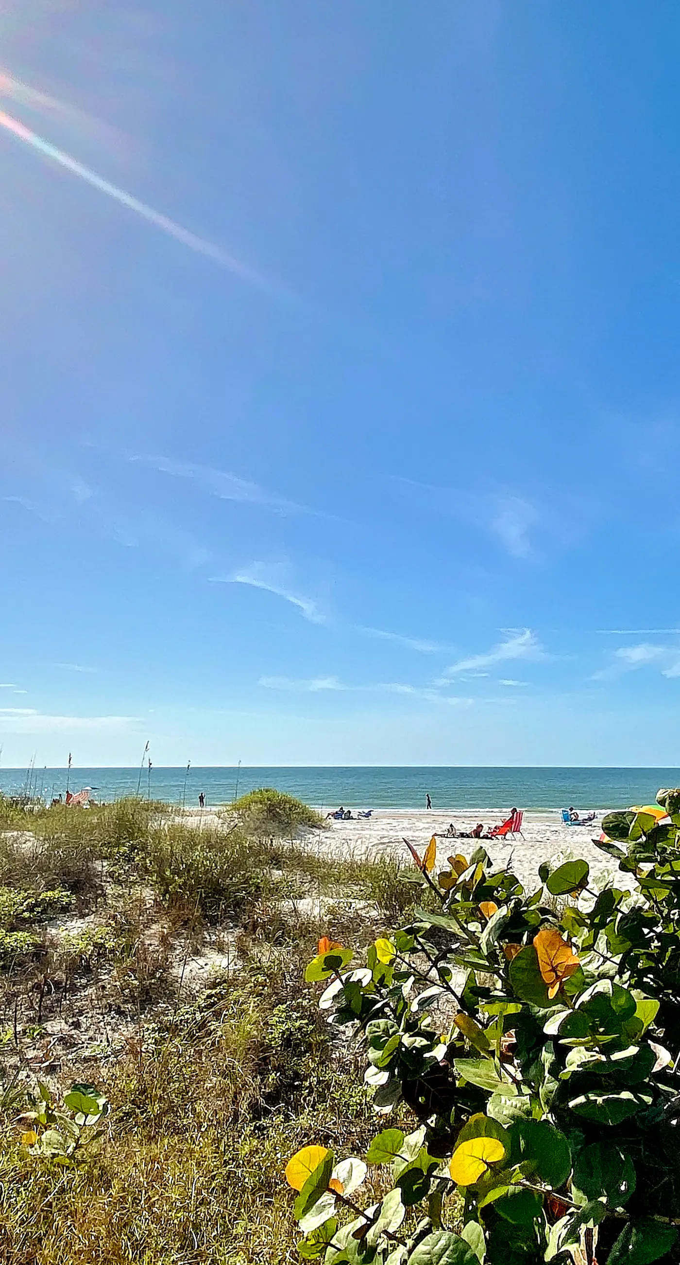 Beachfront Condo in Tampa | Balcony & Heated Pool
