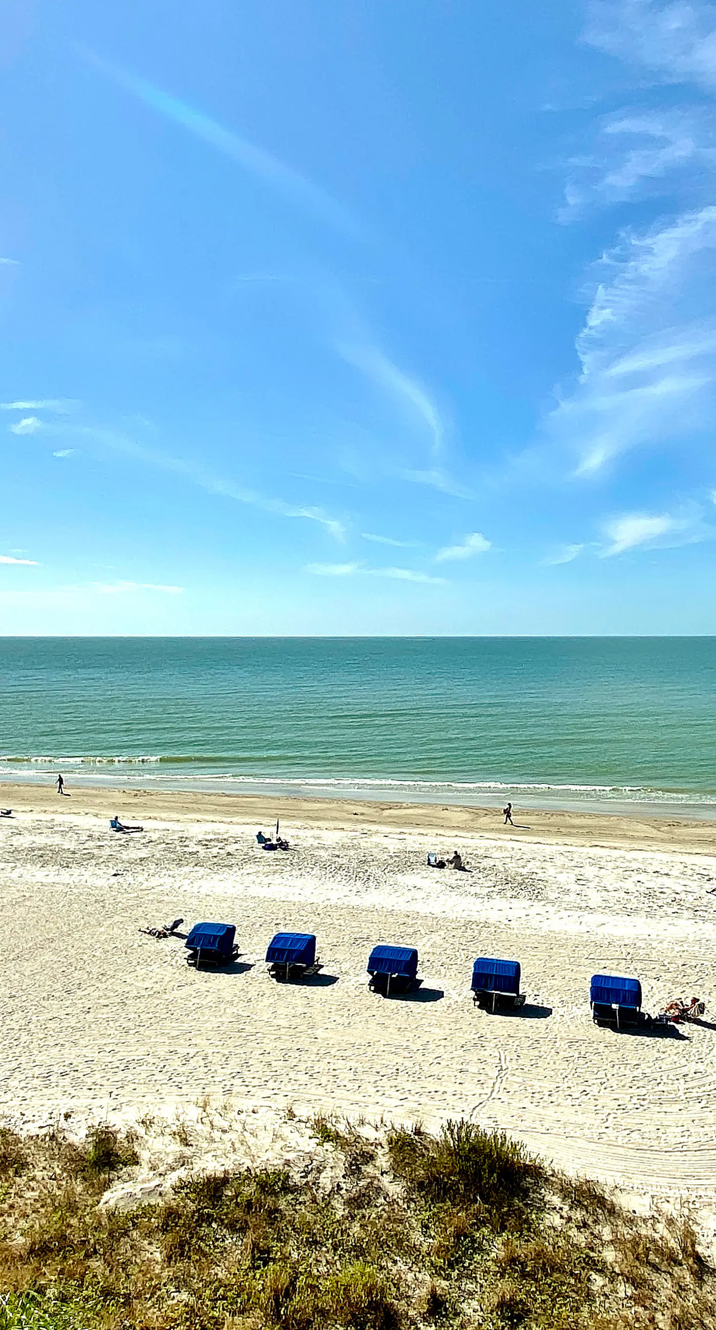 Beachfront Condo in Tampa | Balcony & Heated Pool