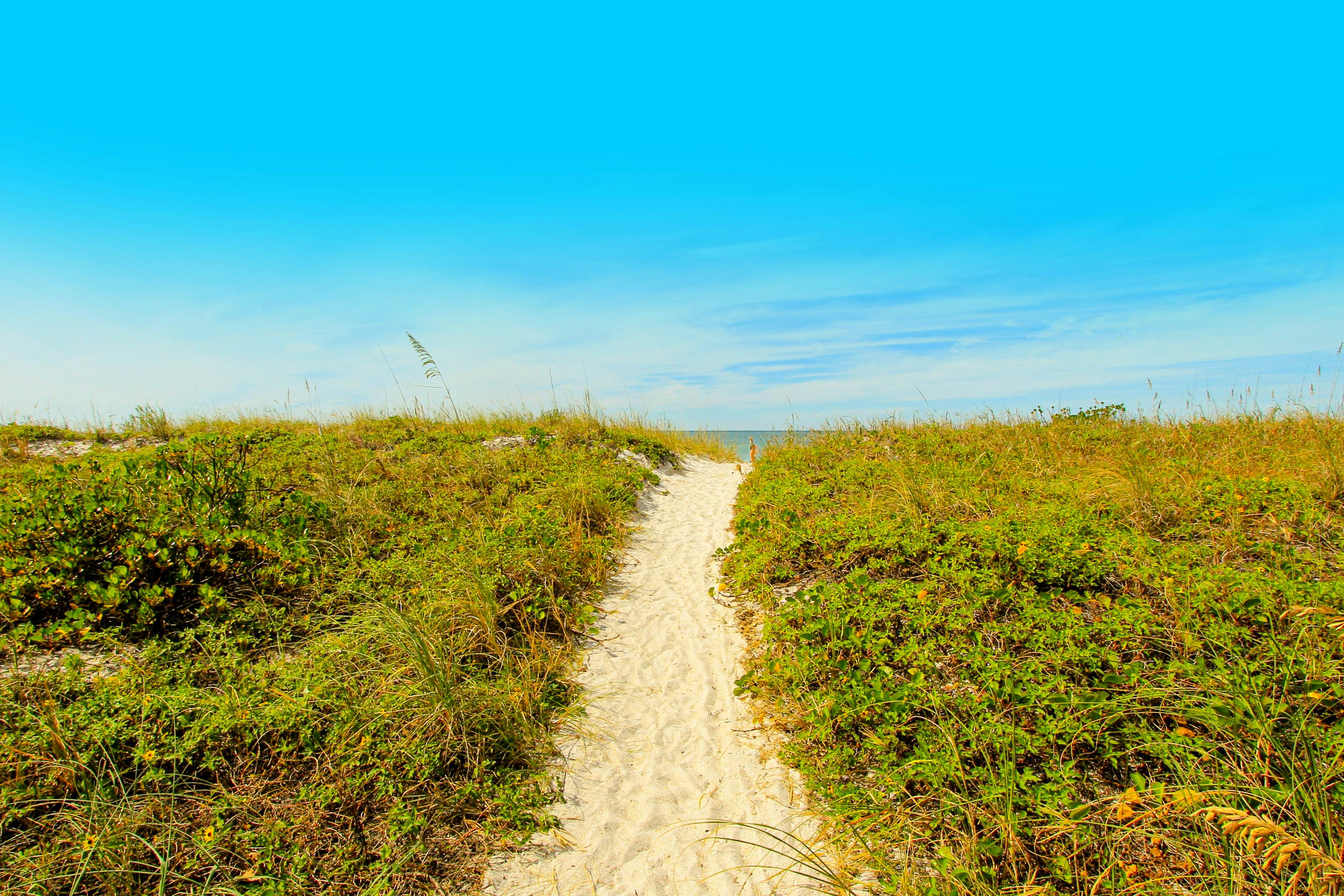 Beachfront condo with pool, tennis court & AC - Dog-friendly