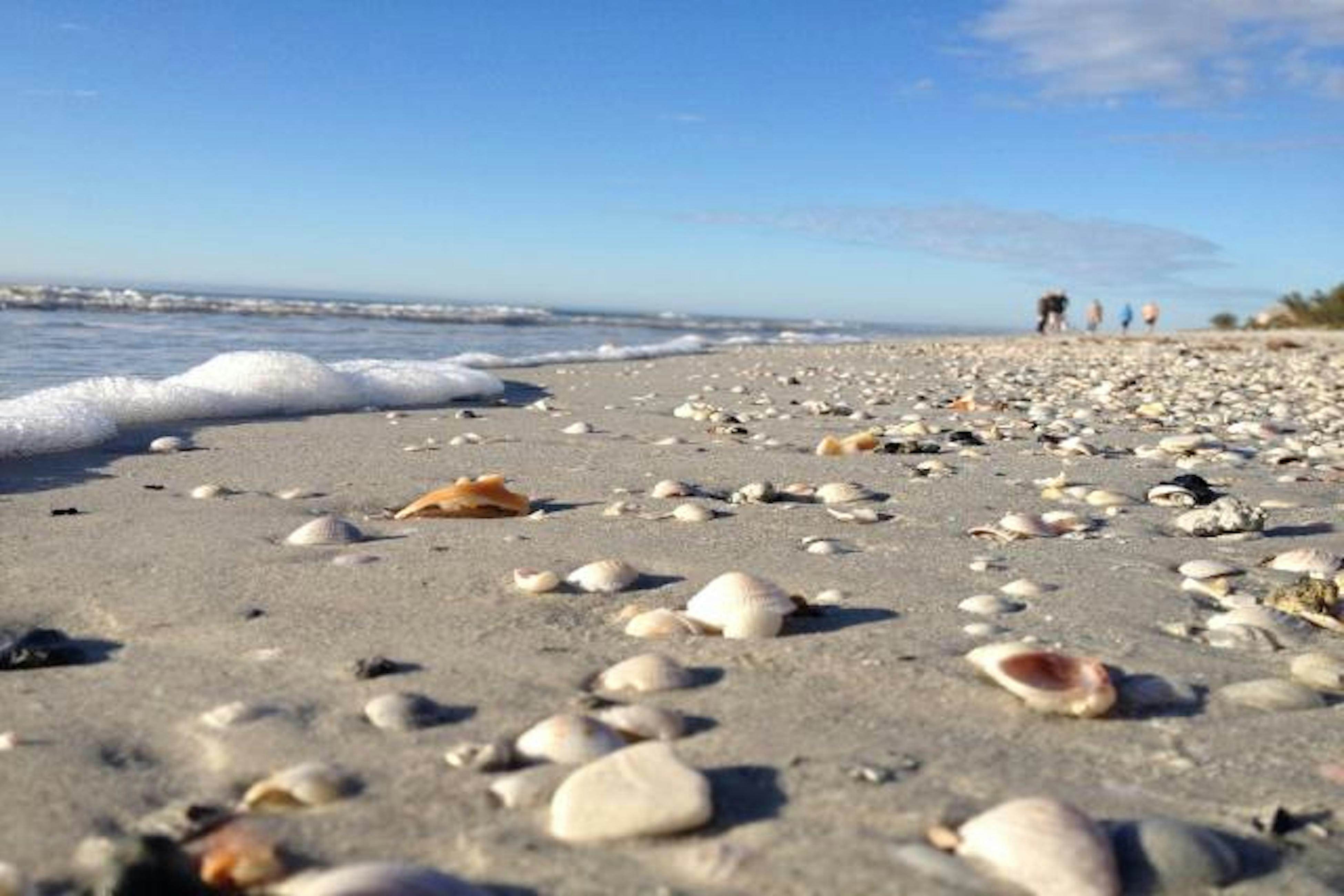 Gulf-front townhome right on the beach with pool & balcony - snowbird-friendly