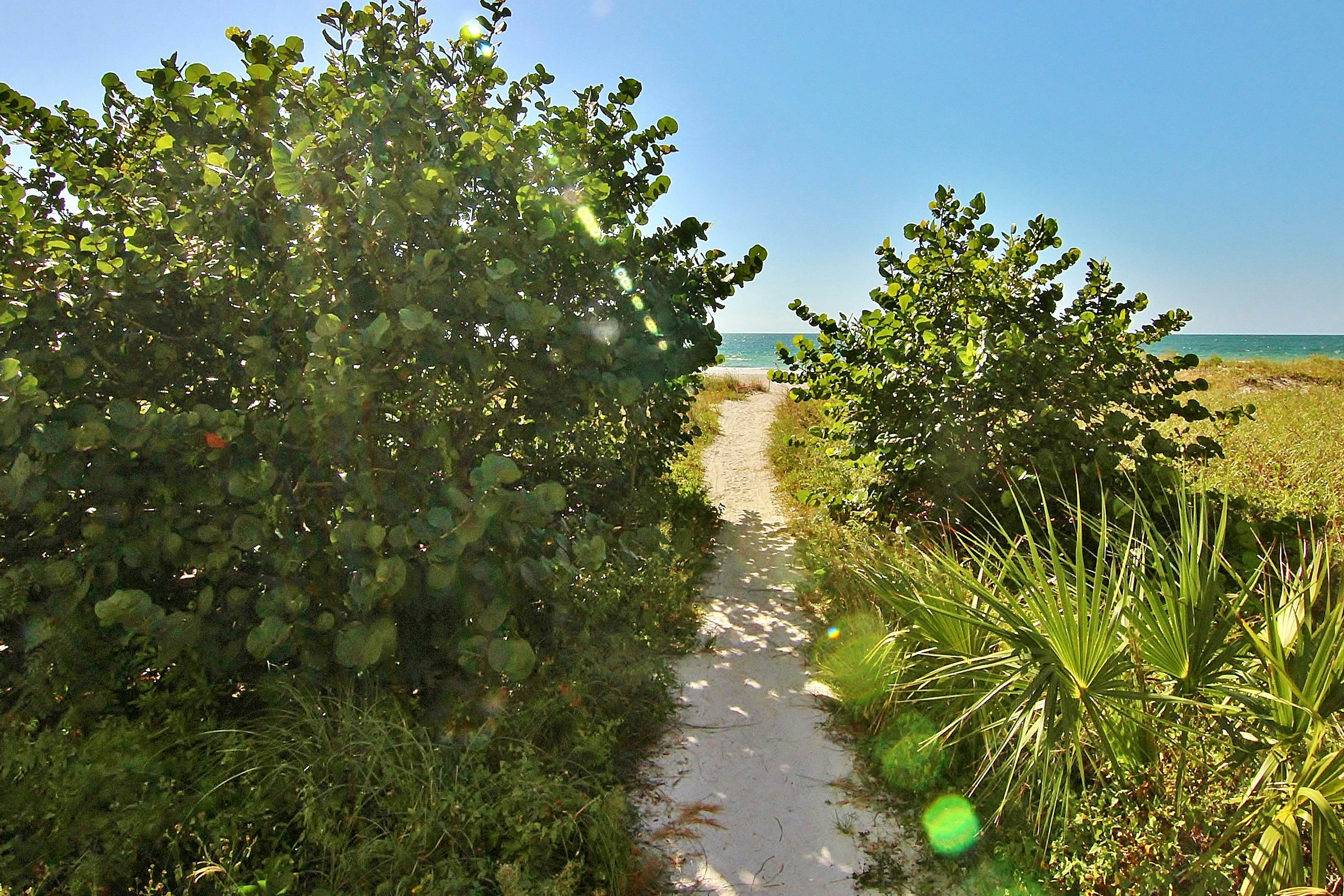 Coastal condo with unbeatable beachfront views - pool & beach access