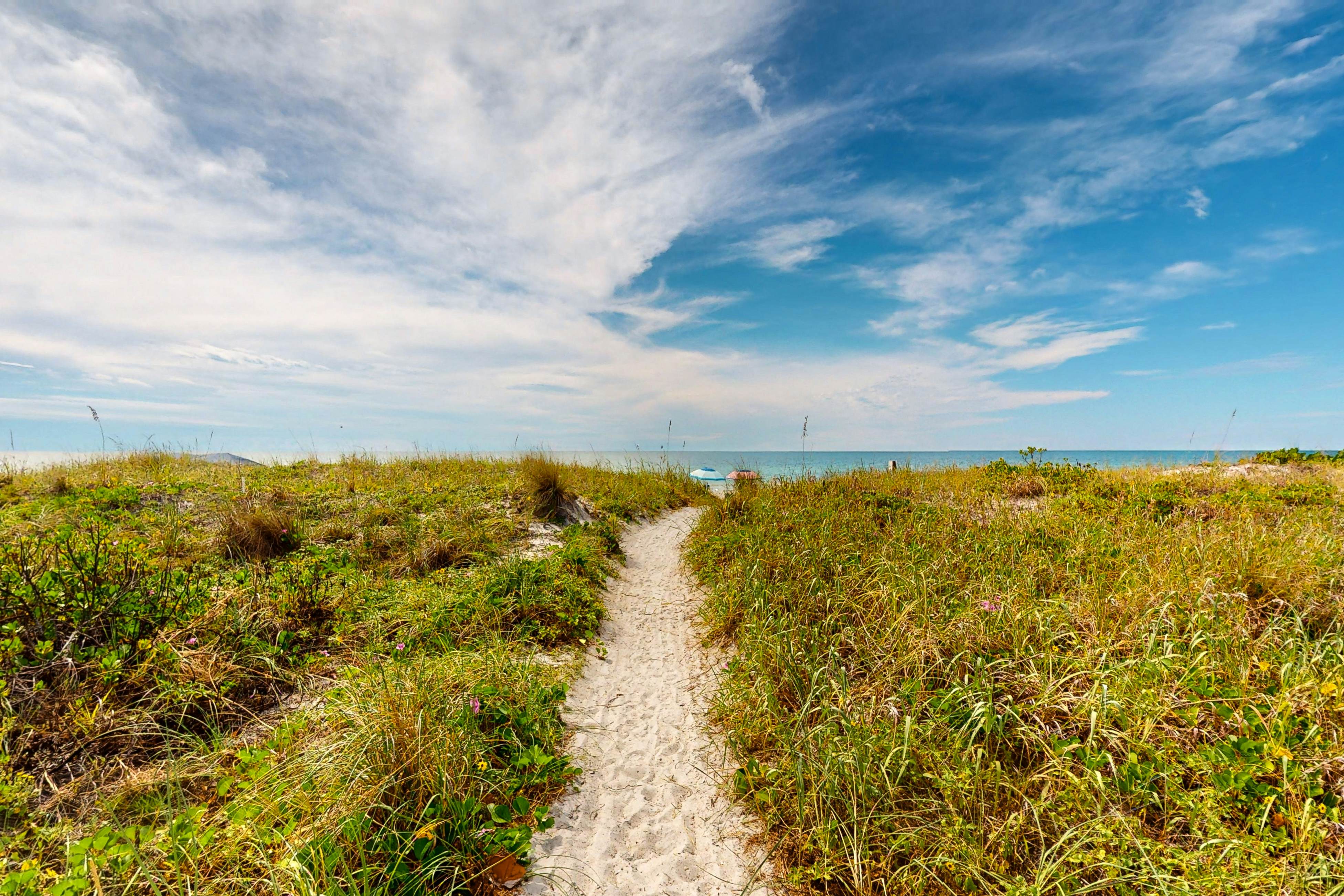 Dog-friendly beachfront condo with pool, hot tub, tennis & AC -snowbird-friendly