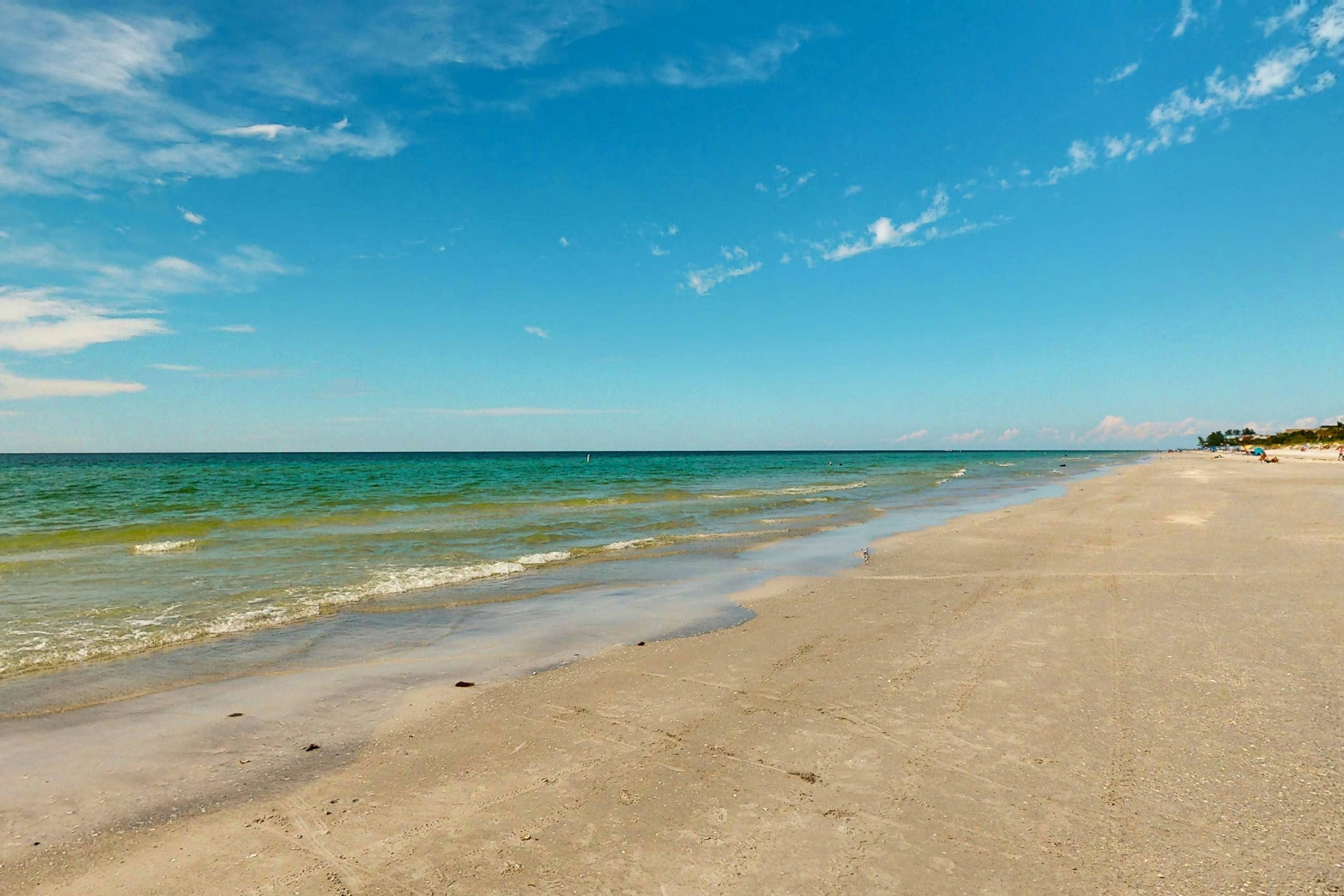 Dog-friendly beachfront condo with pool, hot tub, tennis & AC -snowbird-friendly