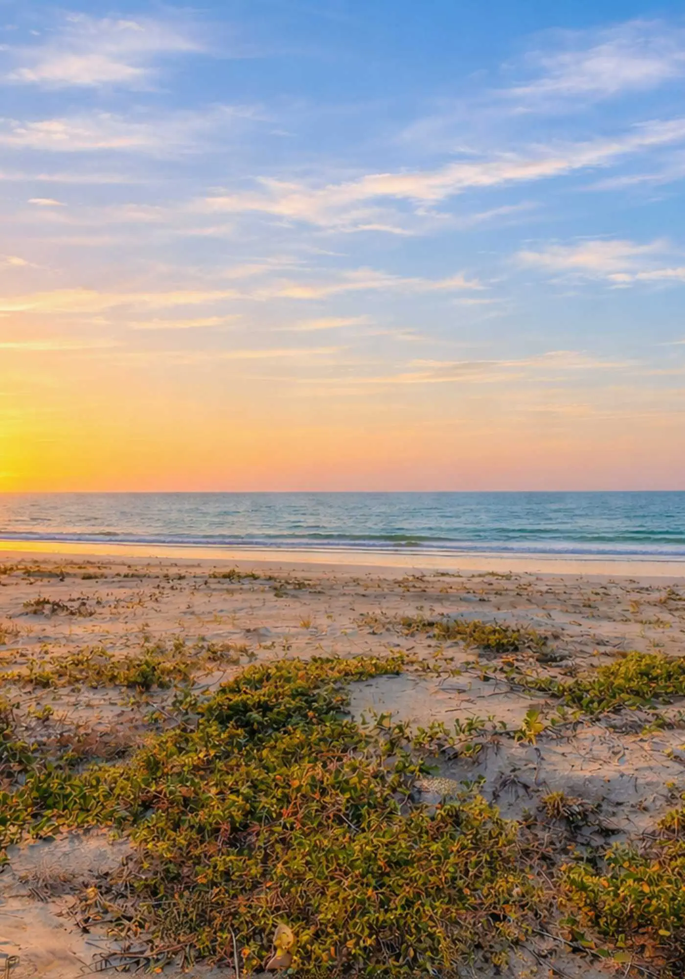 Dog friendly beachfront condo with pool hot tub tennis and AC snowbird friendly