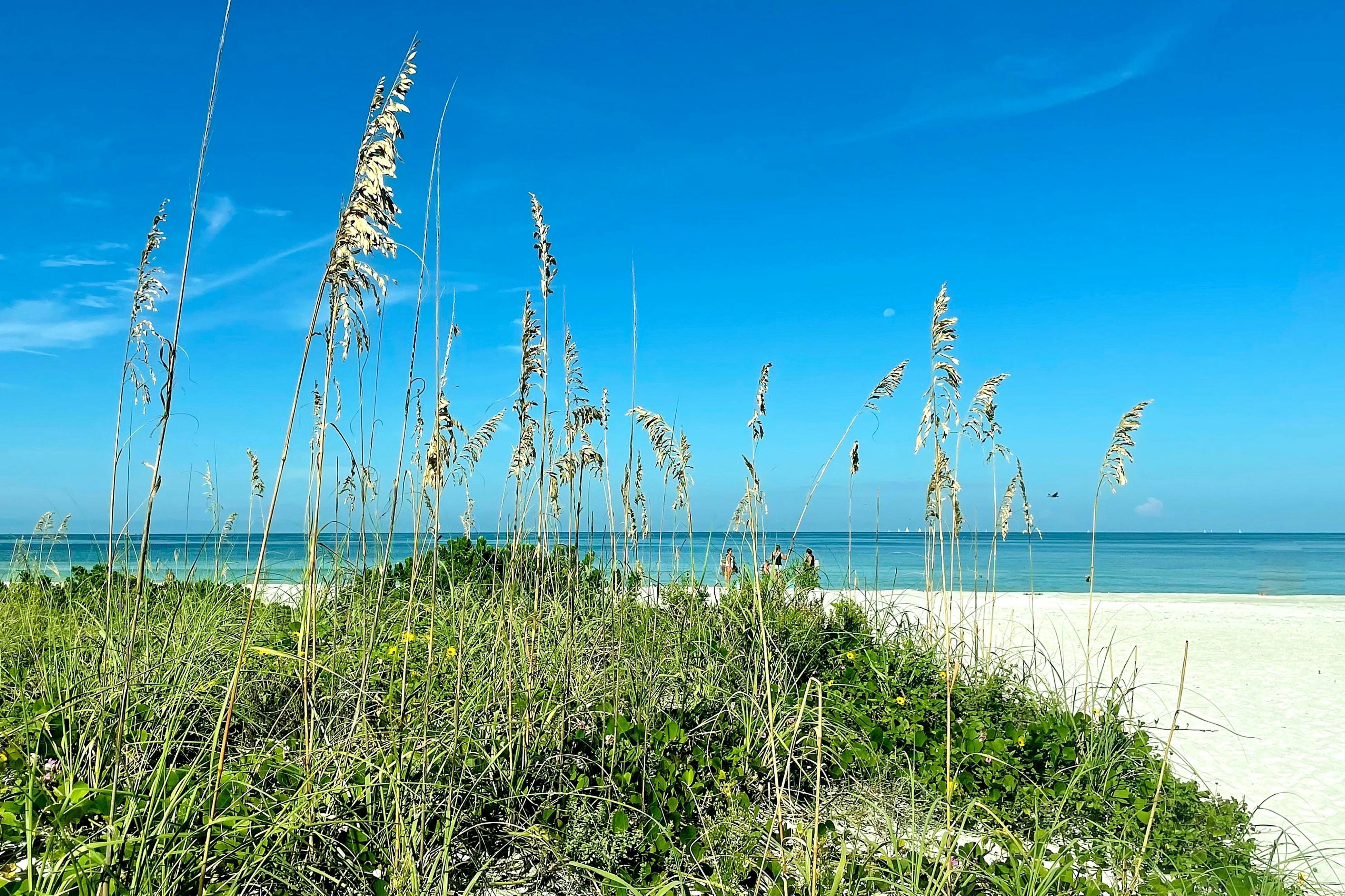 Gulf front steps to the beach, snowbird and family friendly, pool, AC and WIFI