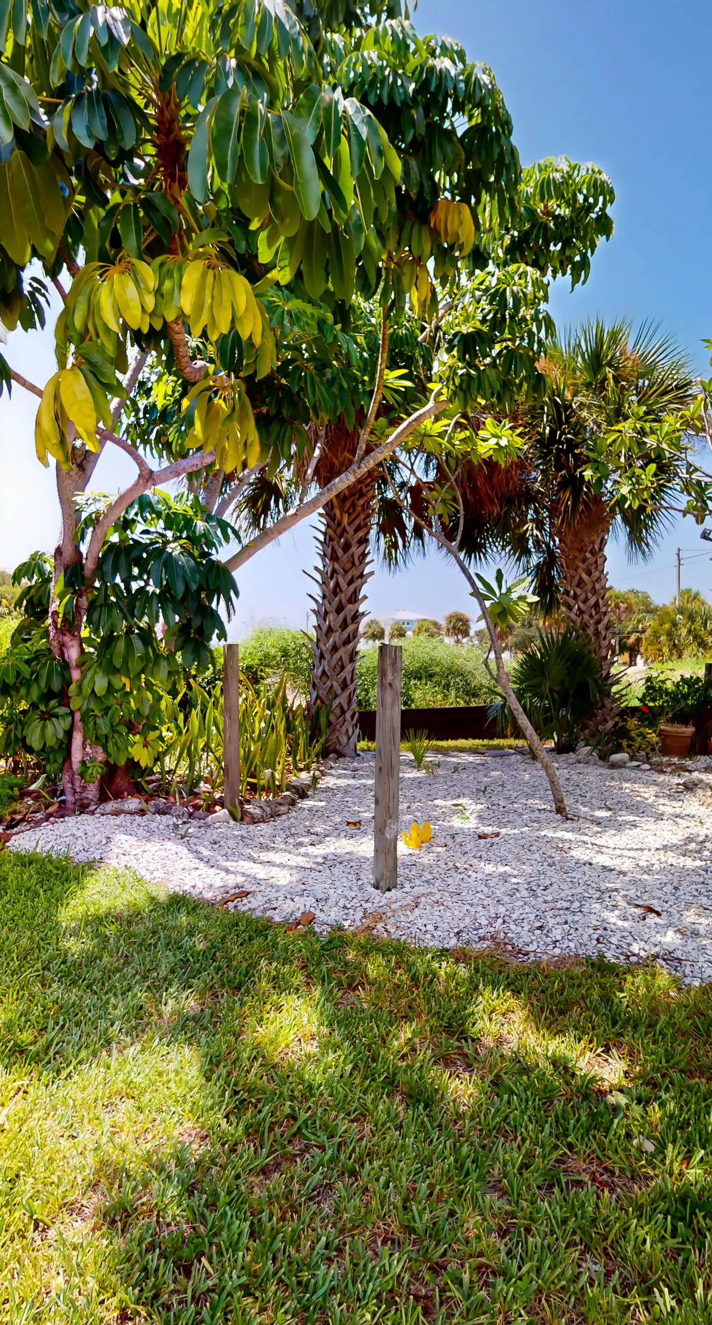 Renovated duplex near Honeymoon Caladesi Island with patio AC and WD