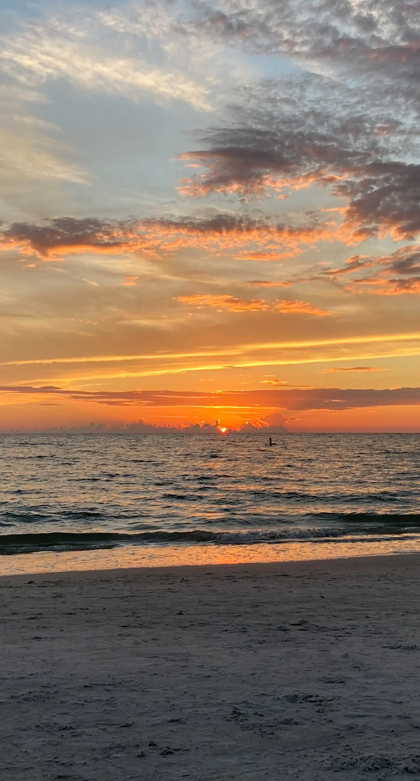 Renovated duplex near Honeymoon Caladesi Island with patio AC and WD