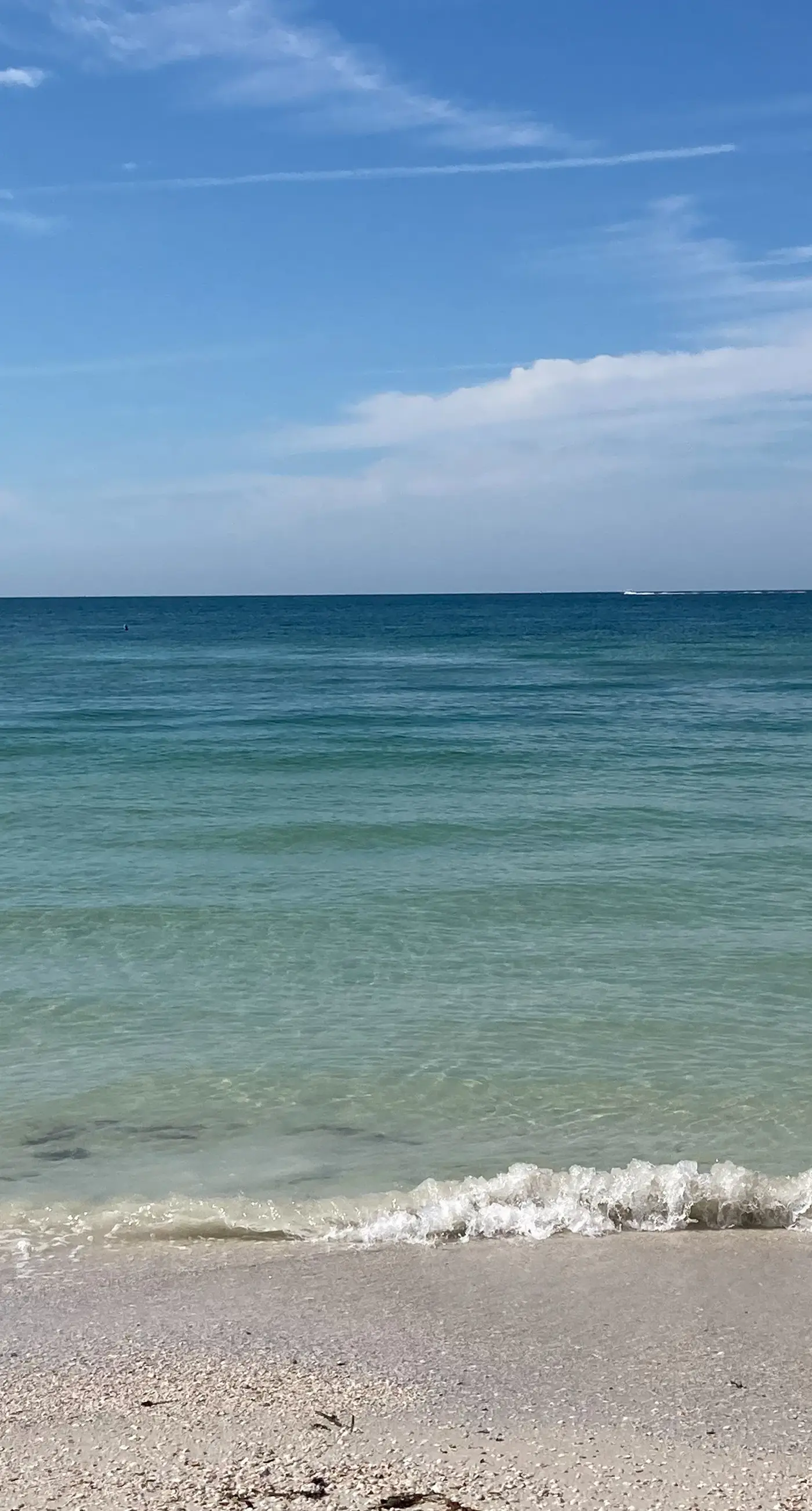 Renovated duplex near Honeymoon Caladesi Island with patio AC and WD