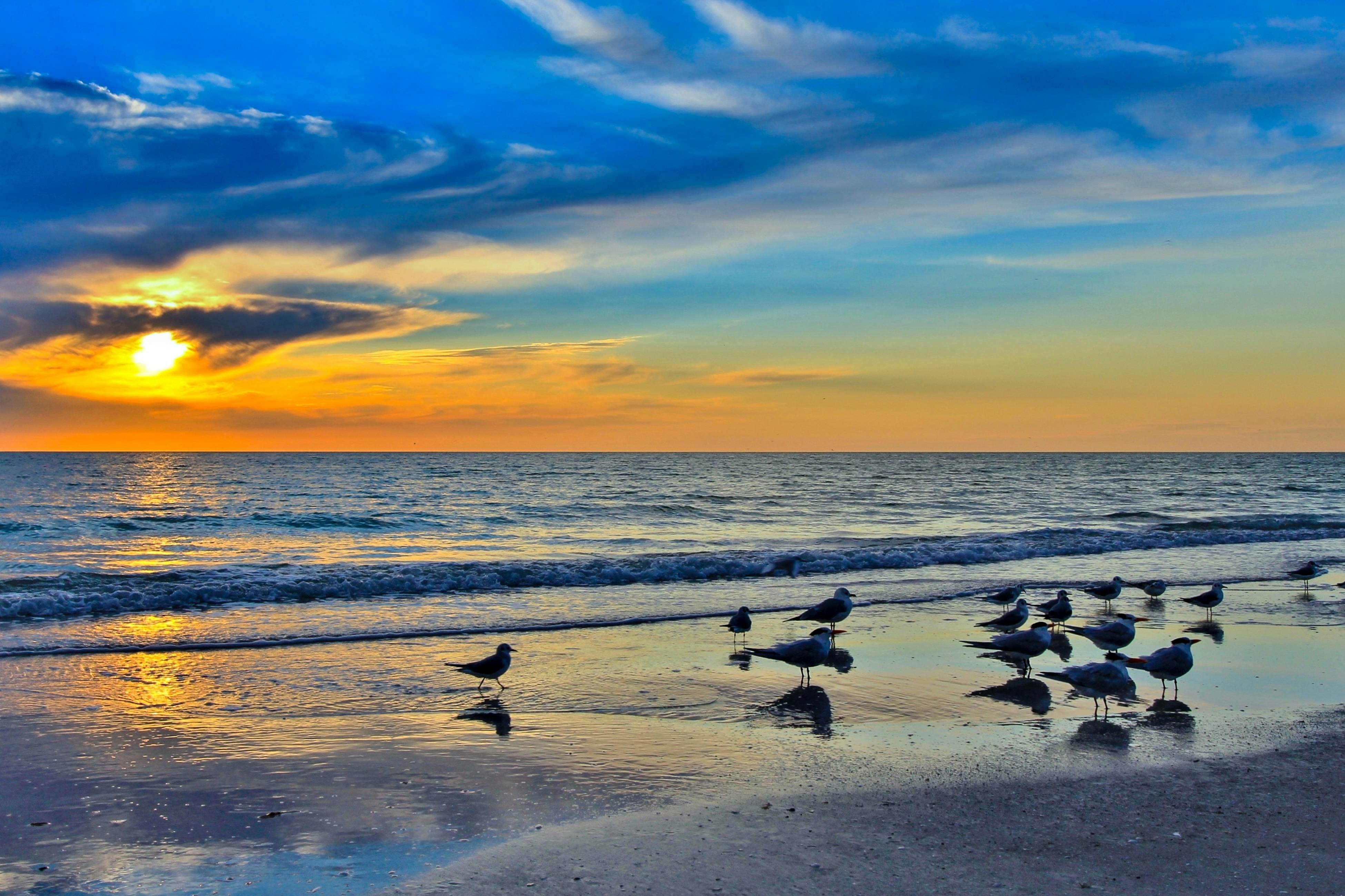 Charming, dog-friendly home with lanai & washer/dryer - near downtown, beach