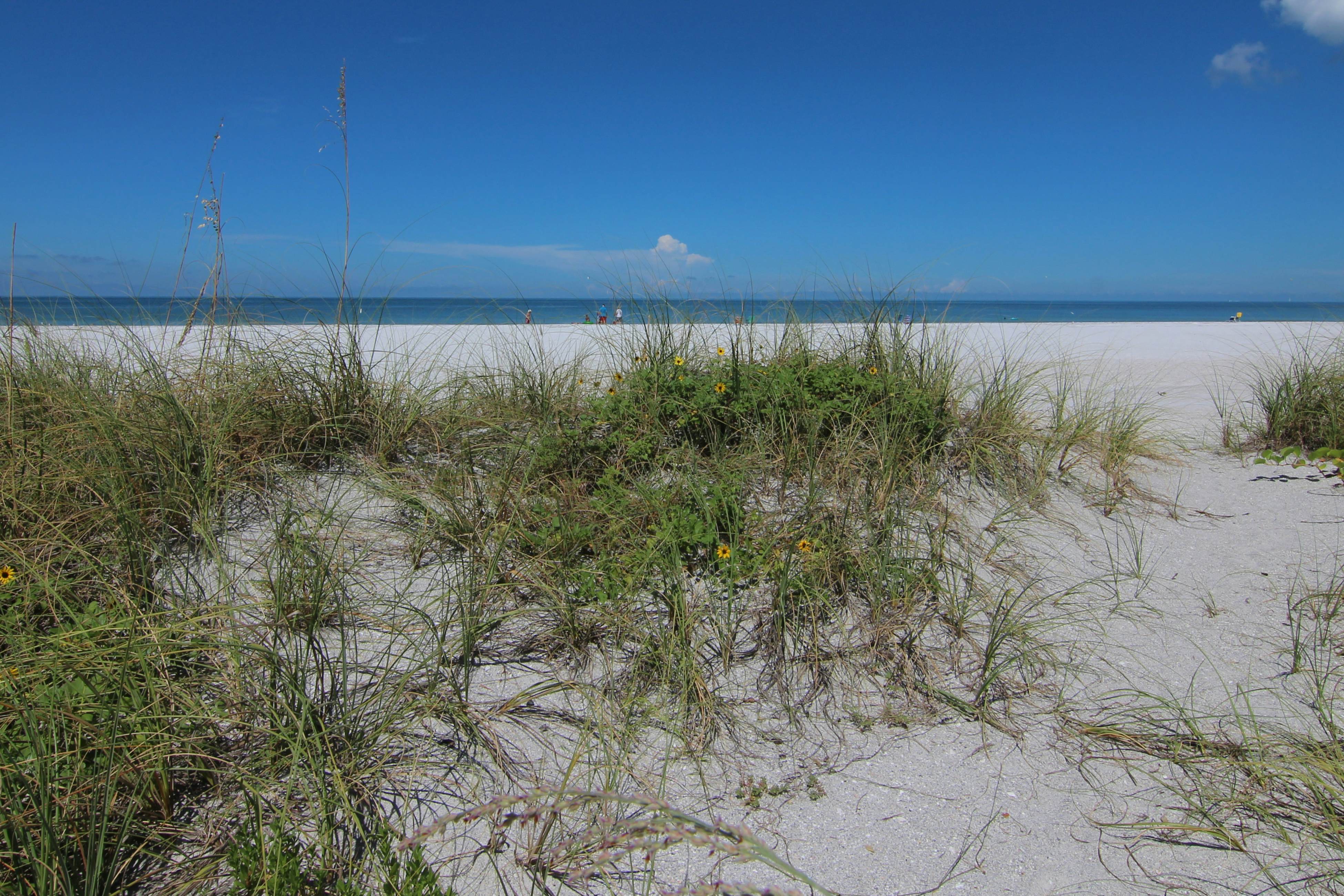 Gulf-front condo with pool, beach access, balcony & central AC - dog-friendly