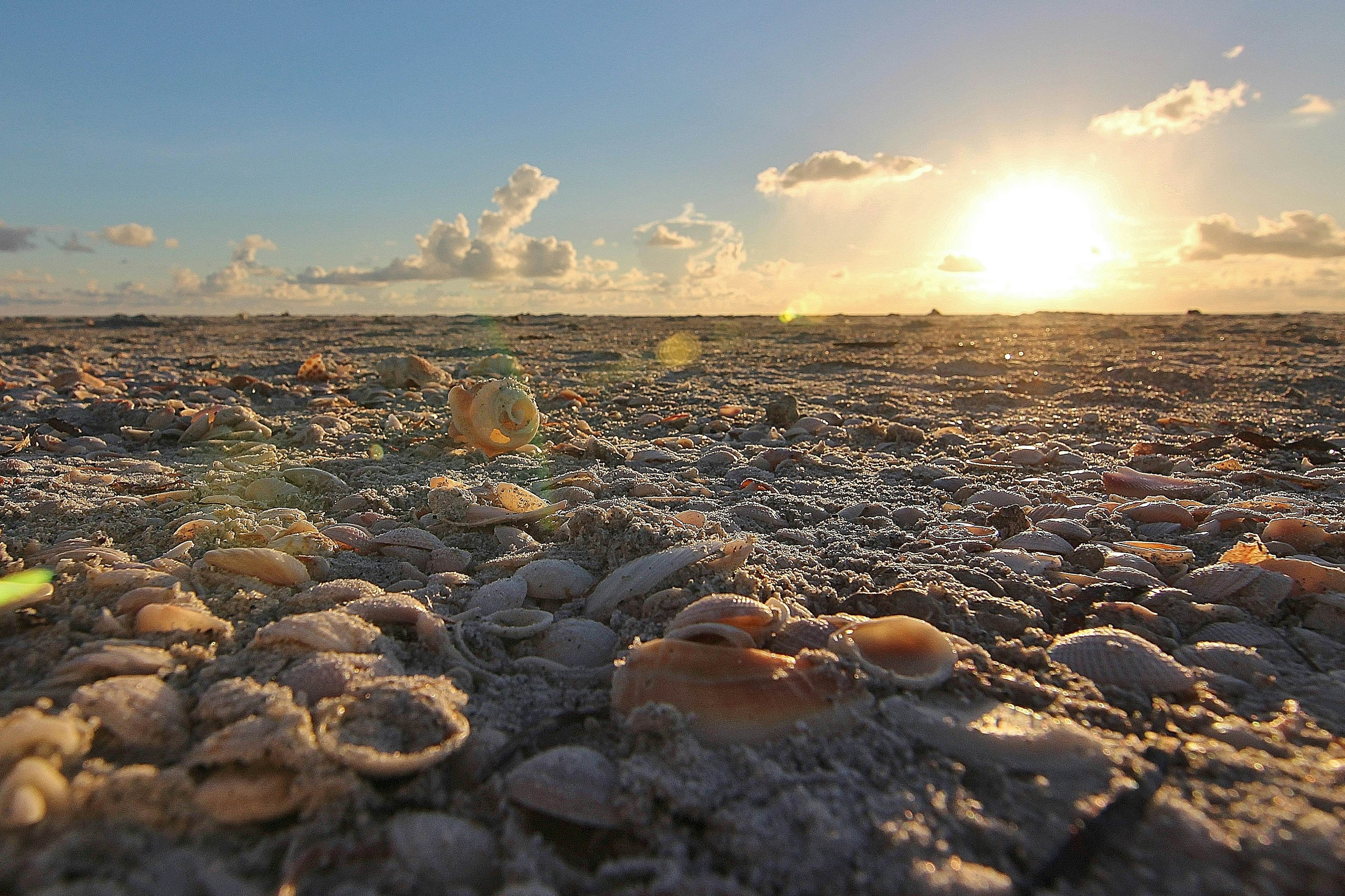 Gulf-front condo with pool, beach access, balcony & central AC - dog-friendly