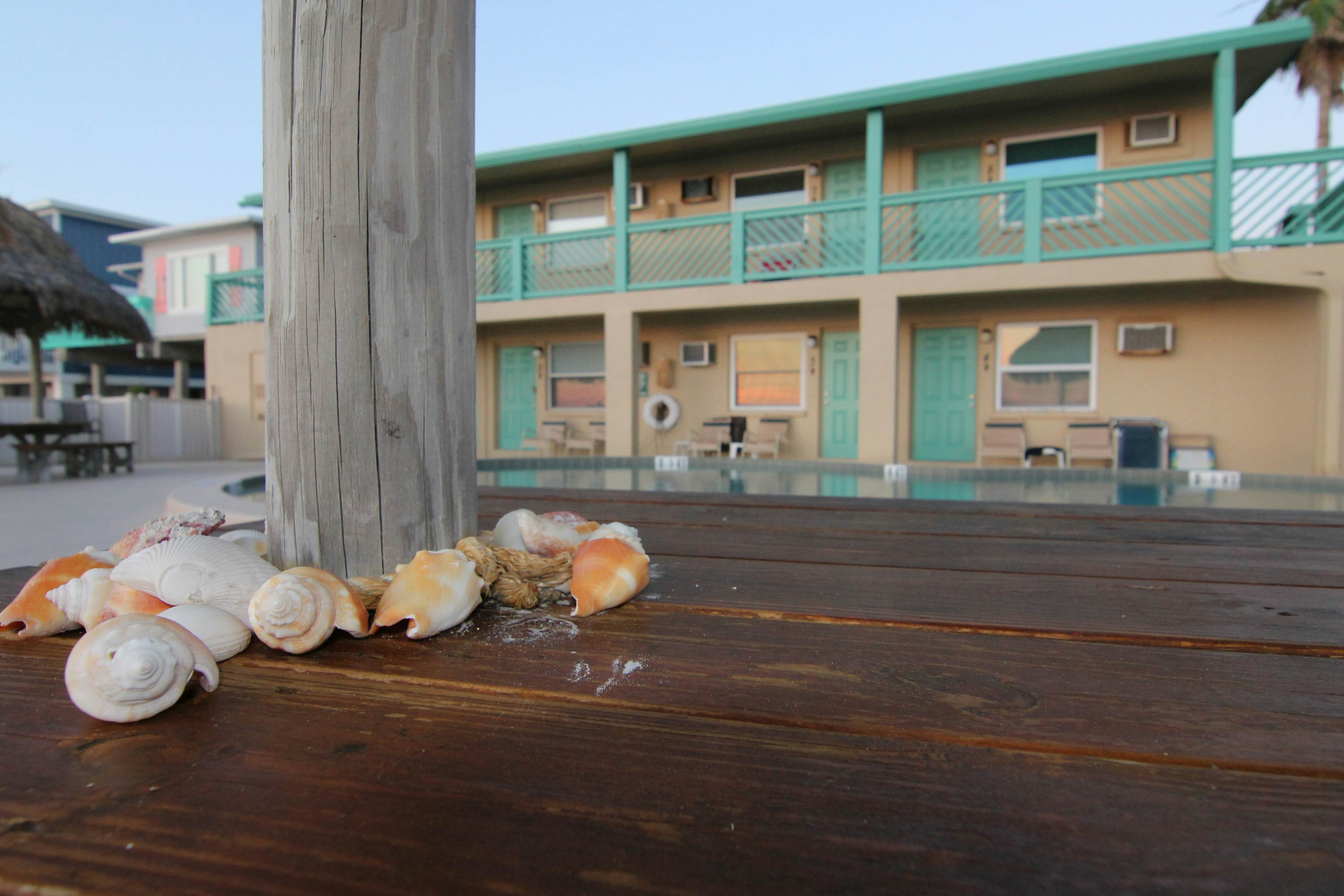 Charming Gulf front condo with views of Belleair Beach, outdoor pool, central AC