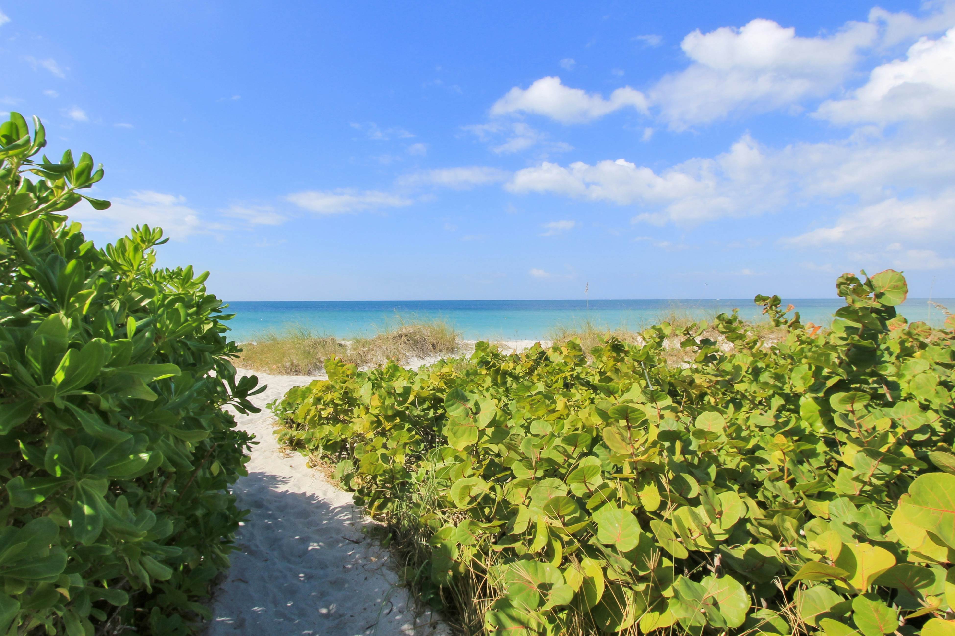 Gulf-front condo with pool, amazing views & central AC - dog-friendly