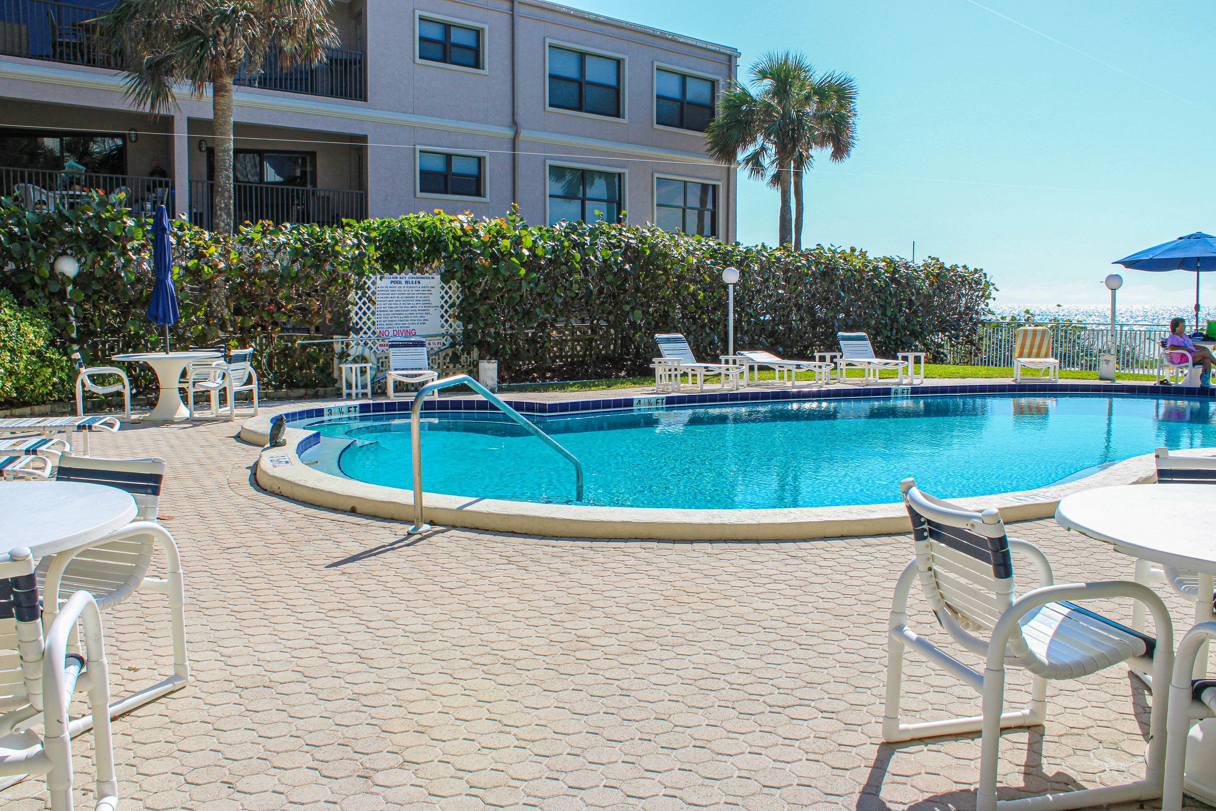 Chic and comfortable Gulf front condo, snowbird and dog friendly, pool, beaches