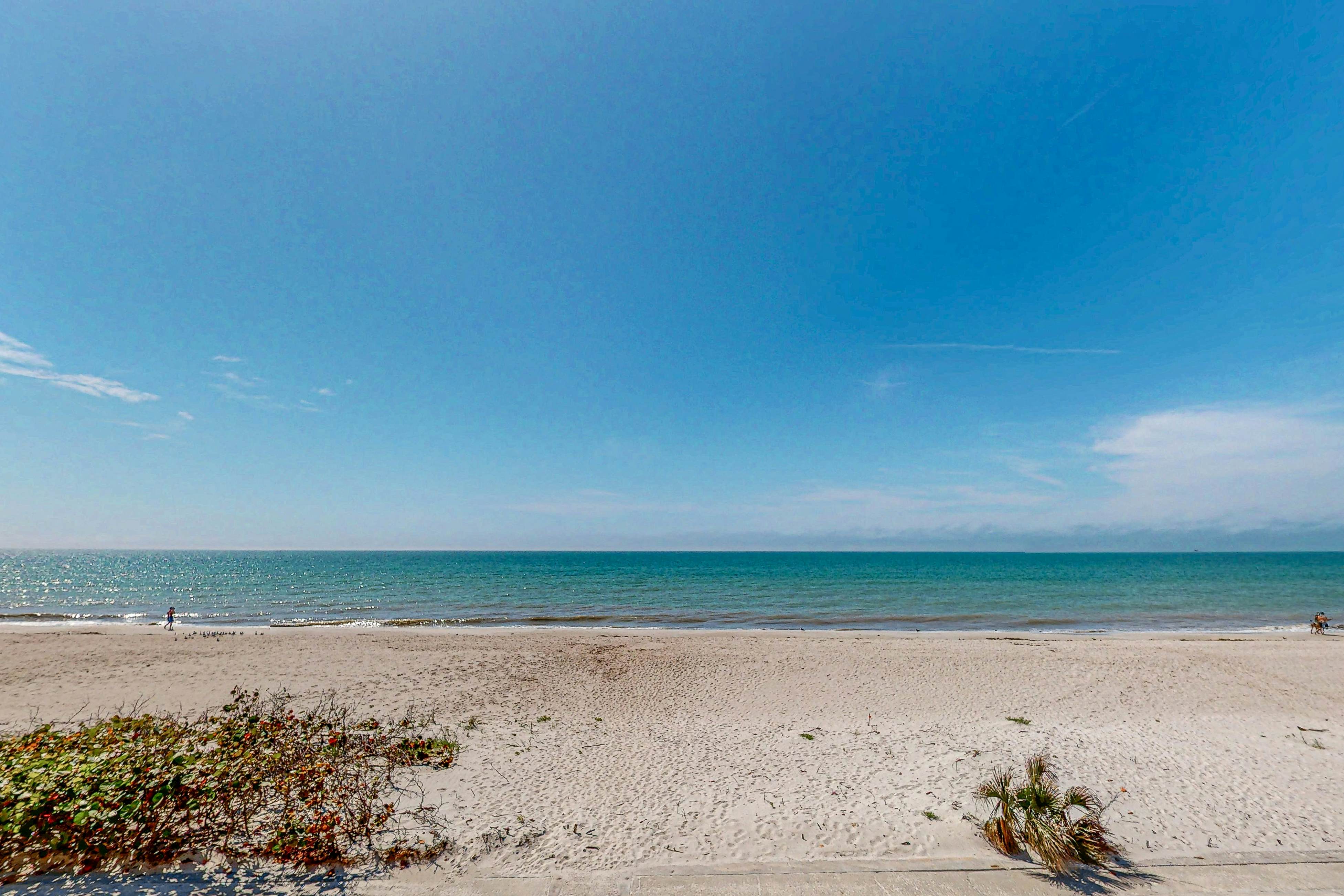 Chic and comfortable Gulf front condo, snowbird and dog friendly, pool, beaches