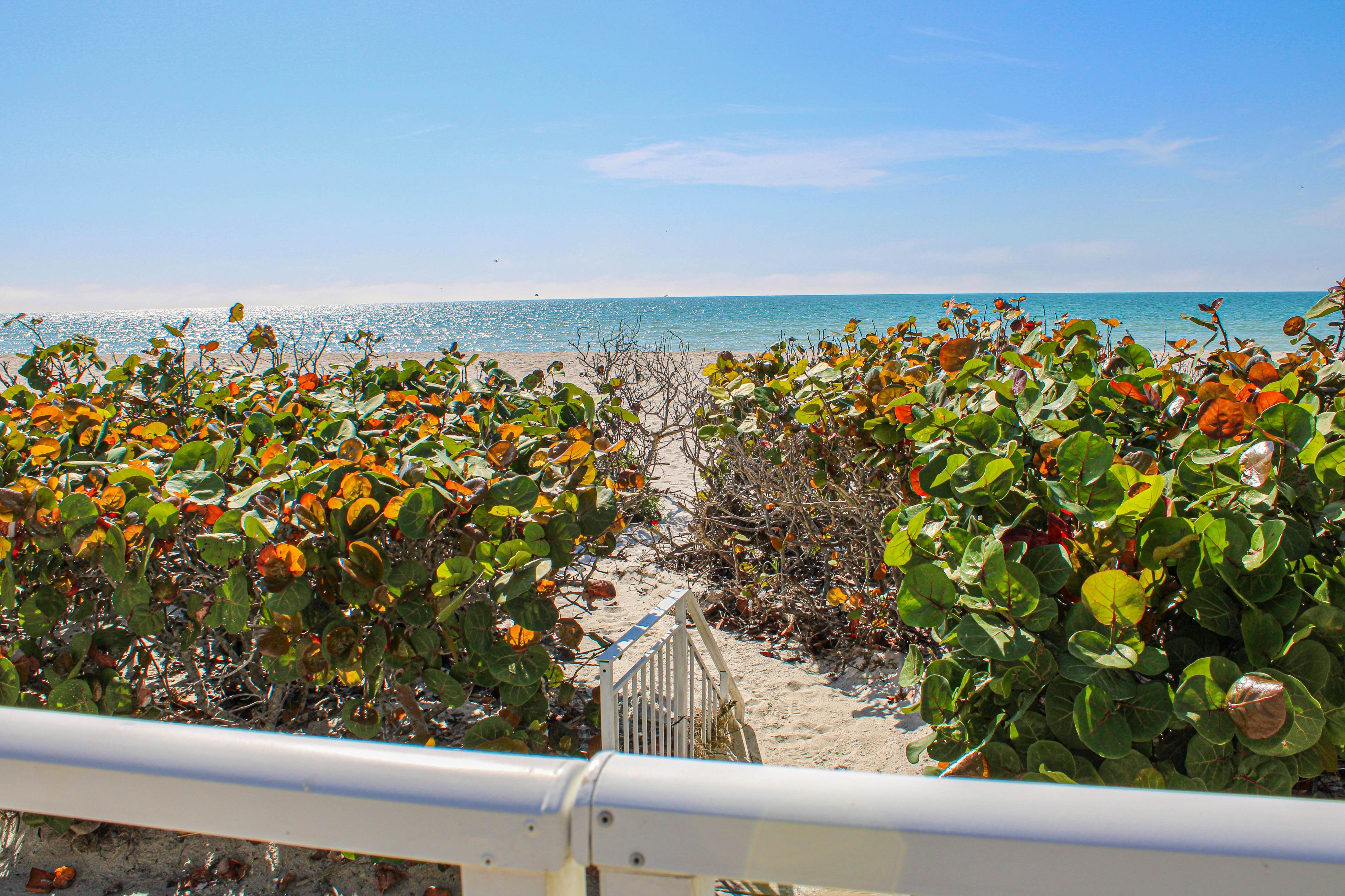 Chic and comfortable Gulf front condo, snowbird and dog friendly, pool, beaches