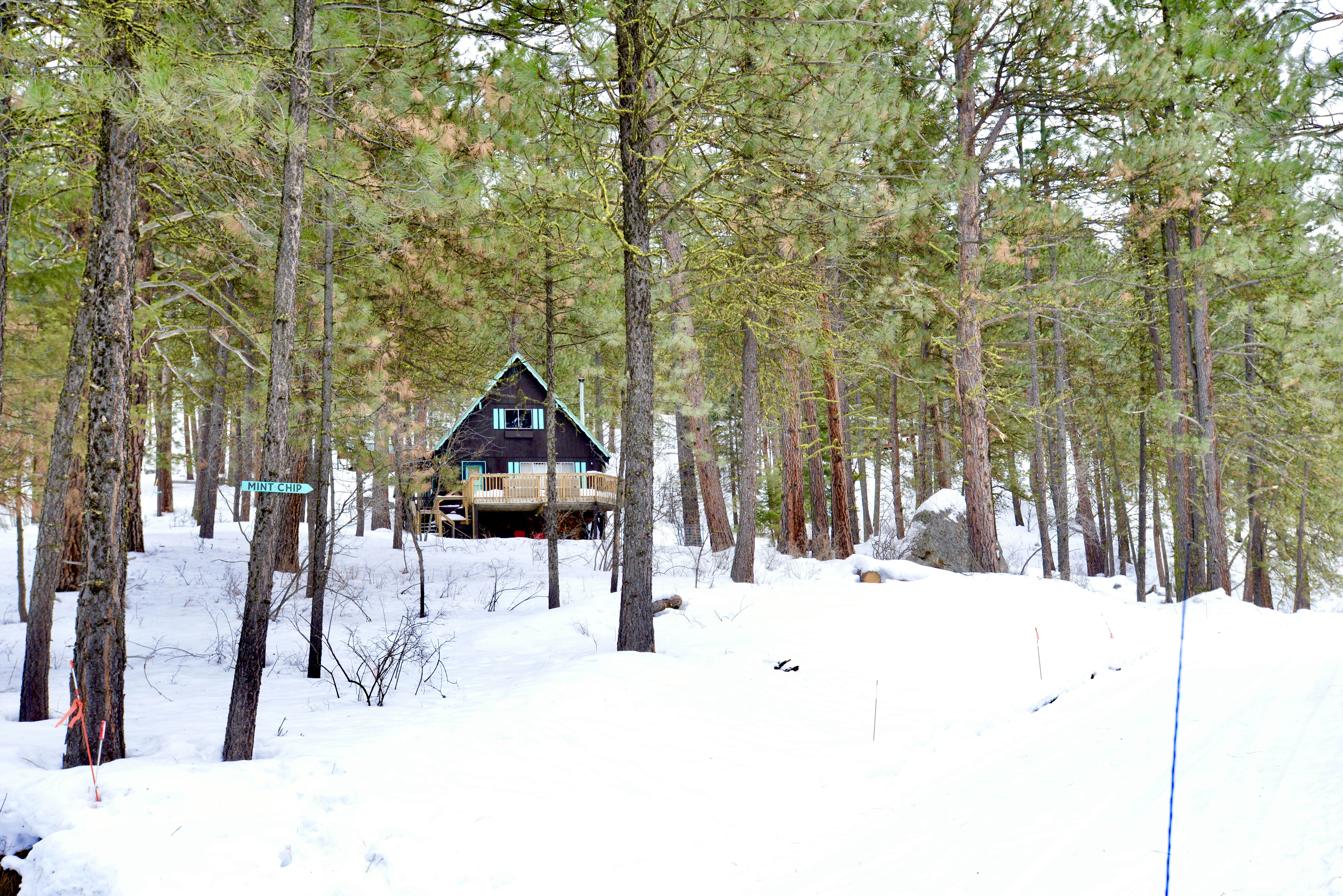 Mint Chip Cabin