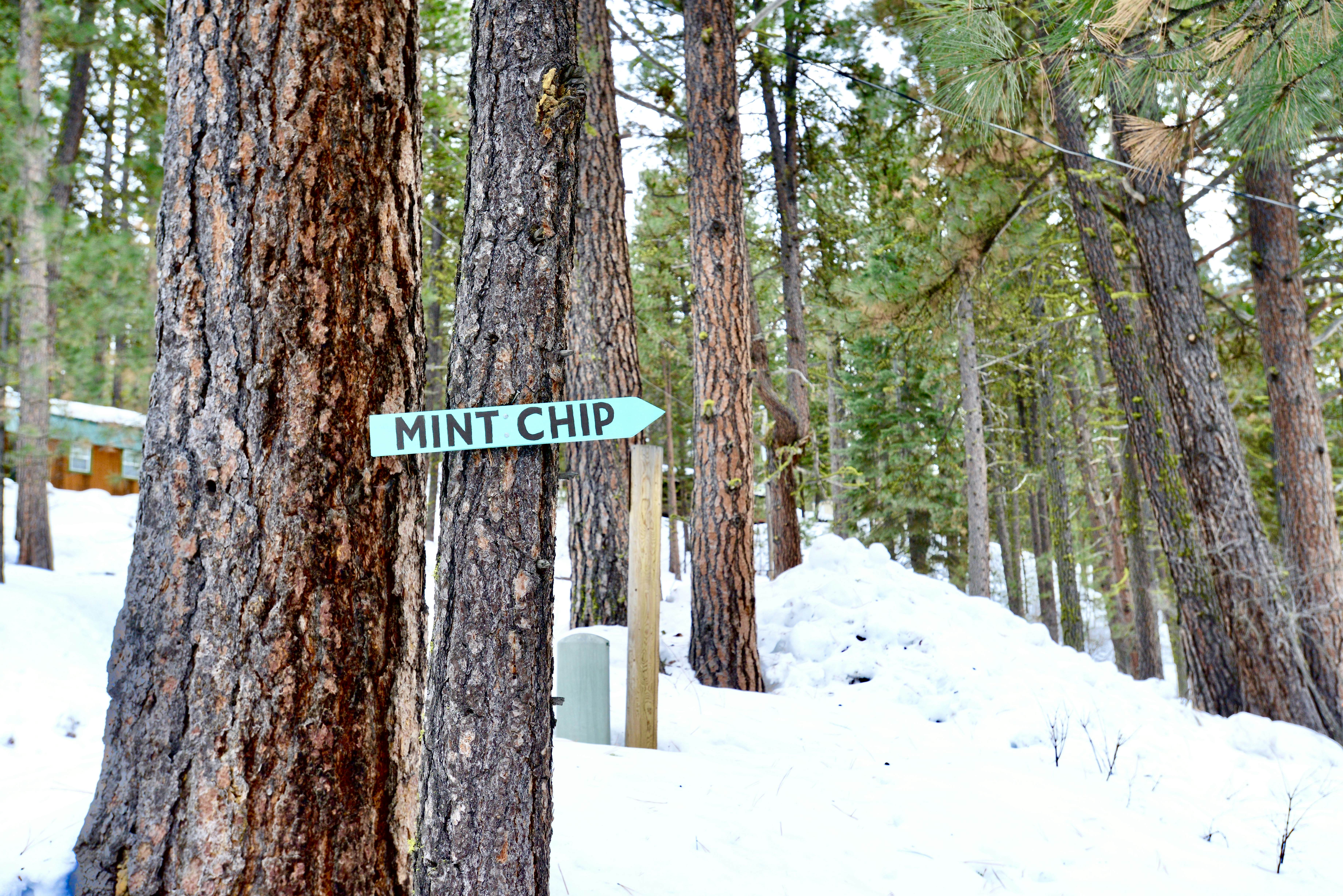 Mint Chip Cabin