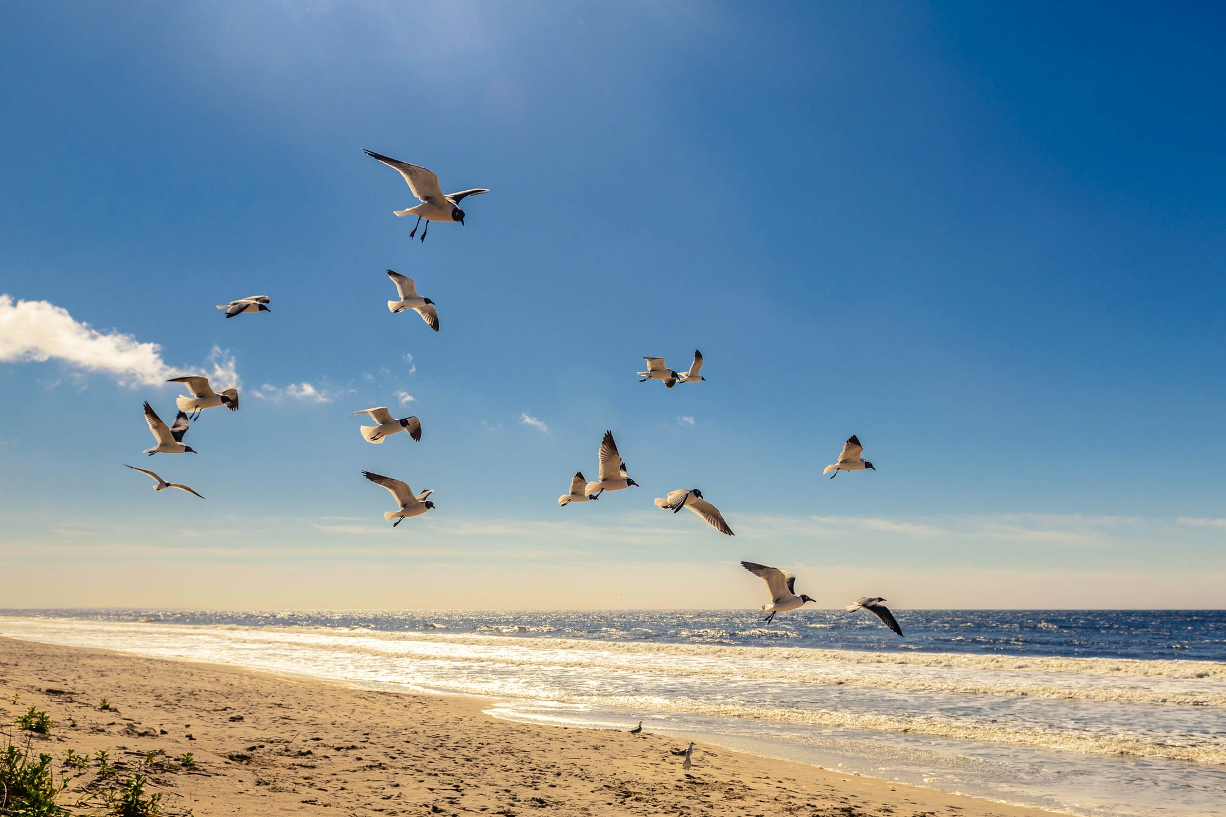 OAI14 The Coco Cottage