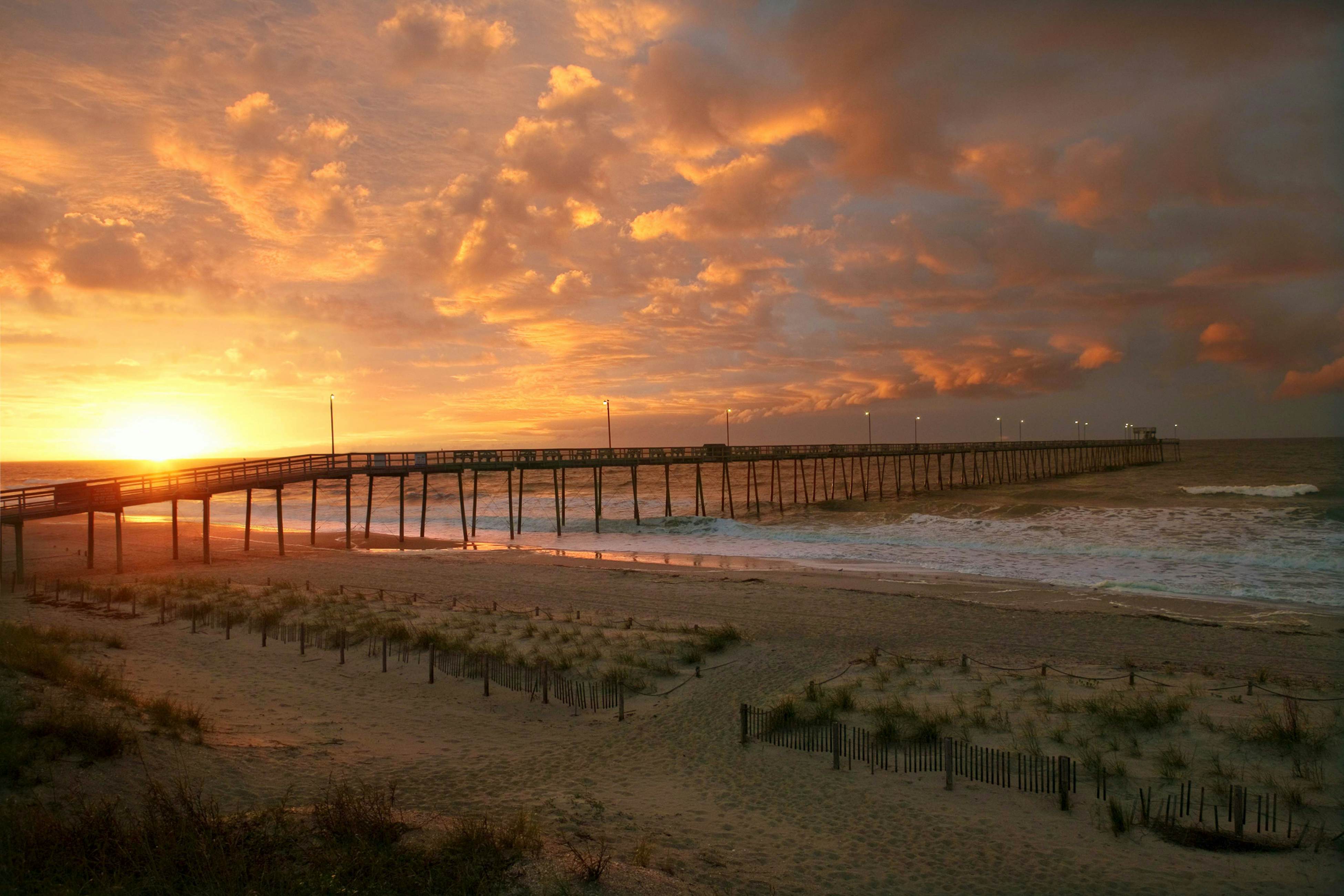 OAI14 The Coco Cottage