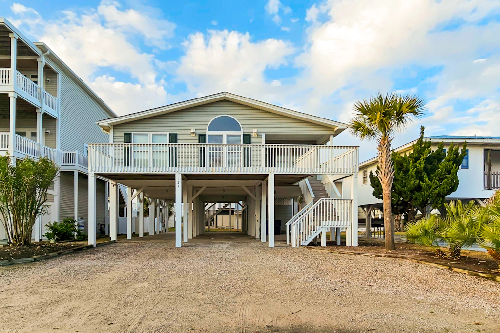 OIB59 The Carolina Shell